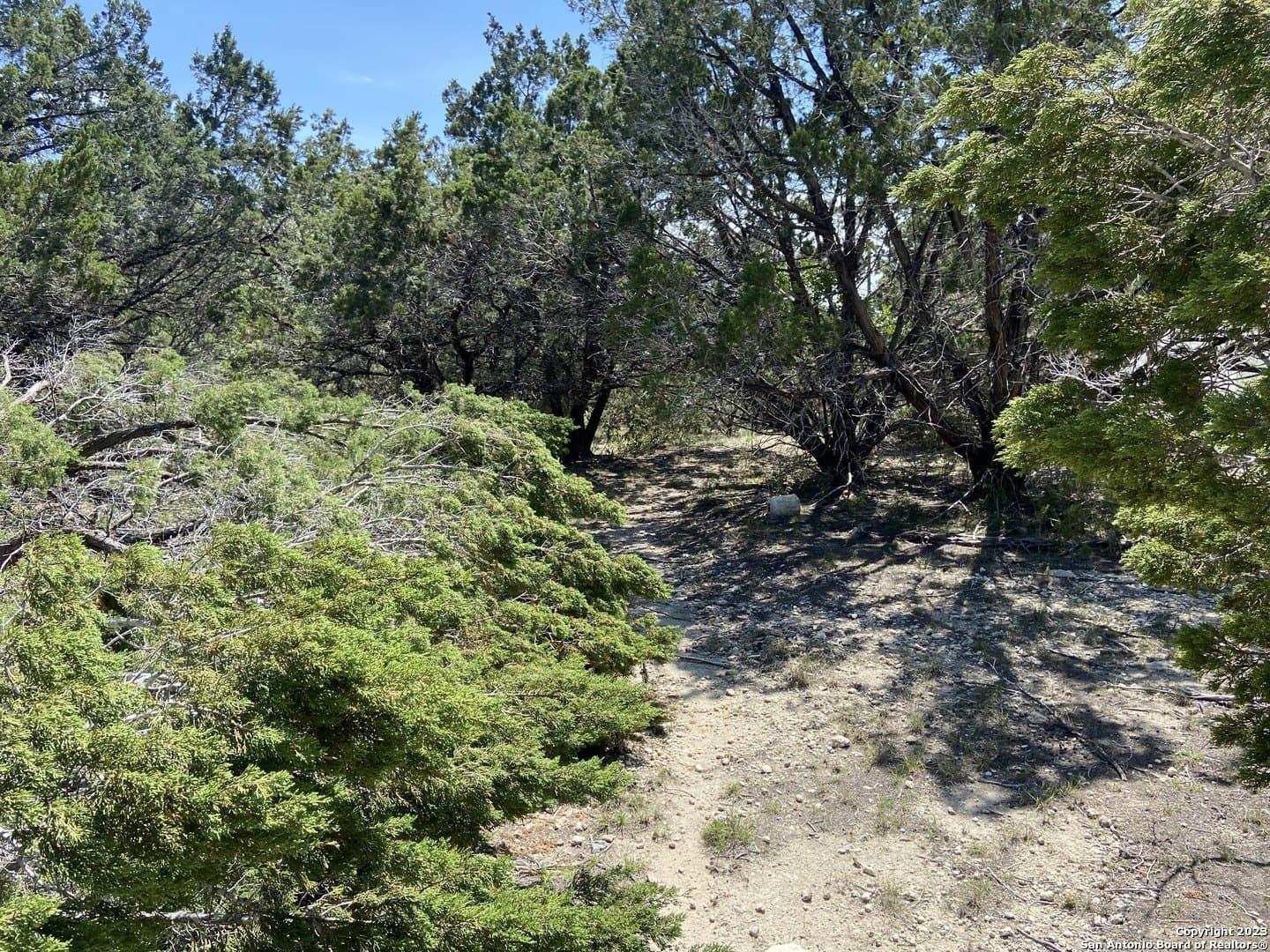 0.33 acres in Comal County - photo 6