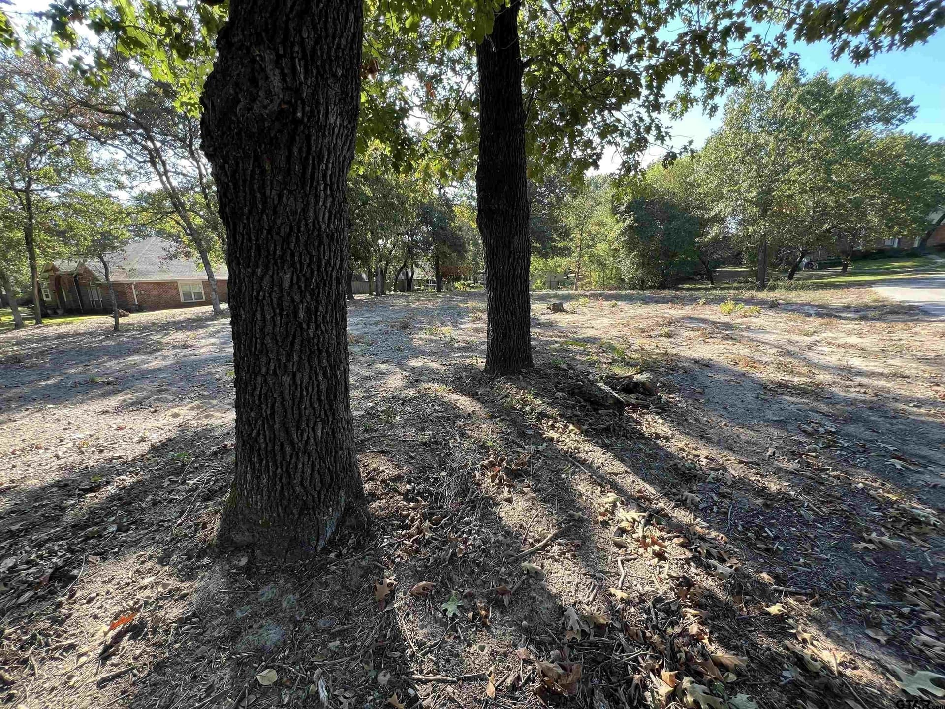 0.51 acres in Wood County gallery image 3