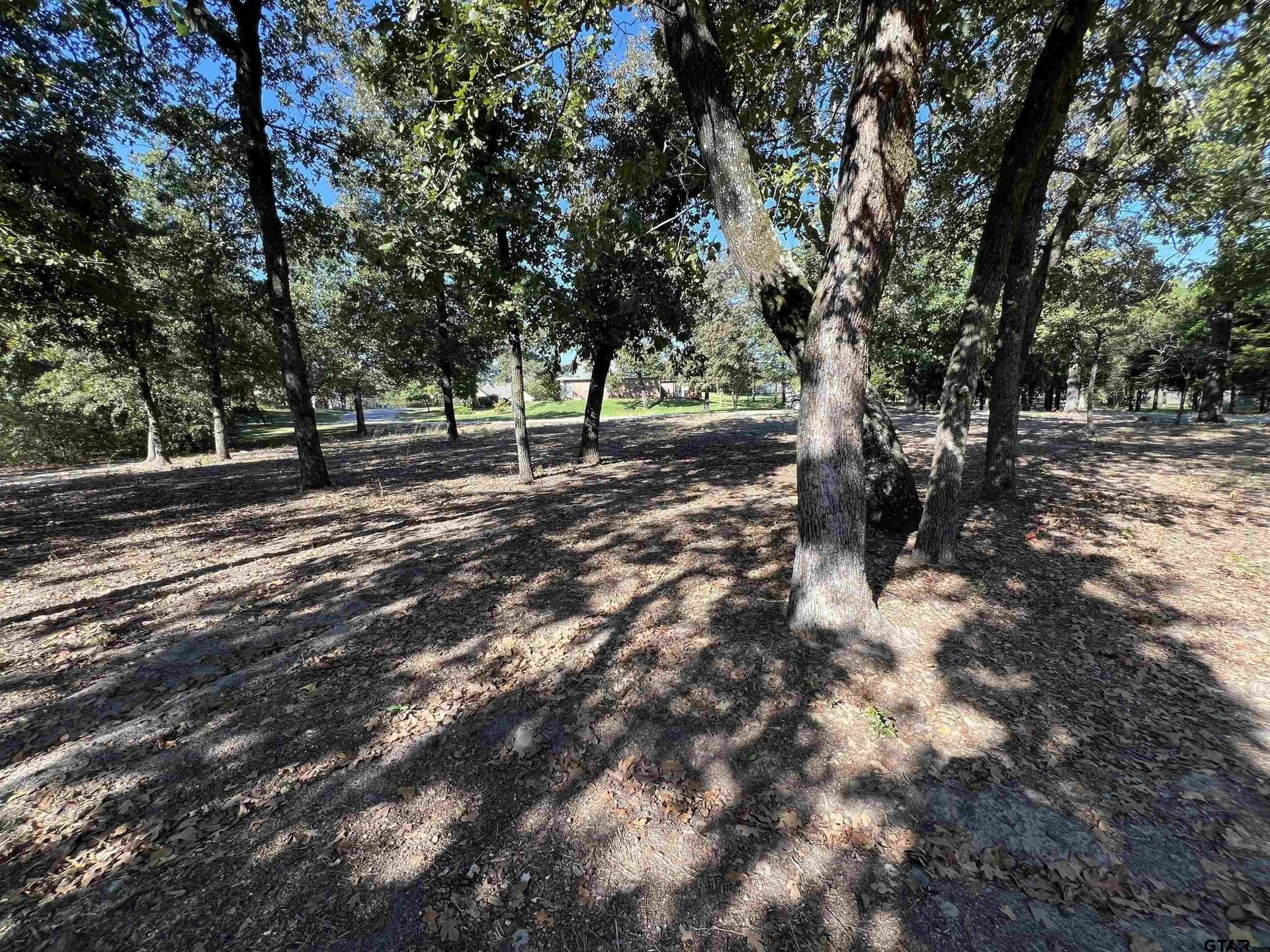 0.51 acres in Wood County featured view