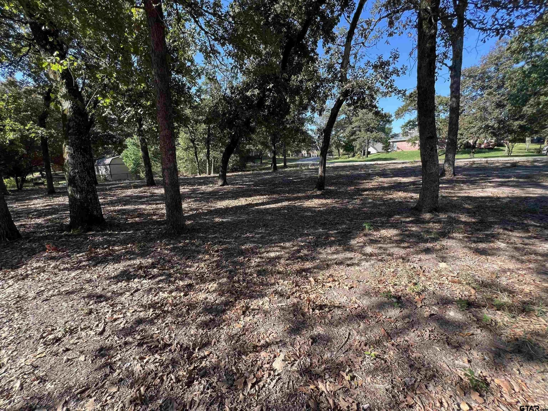 0.51 acres in Wood County gallery image 2