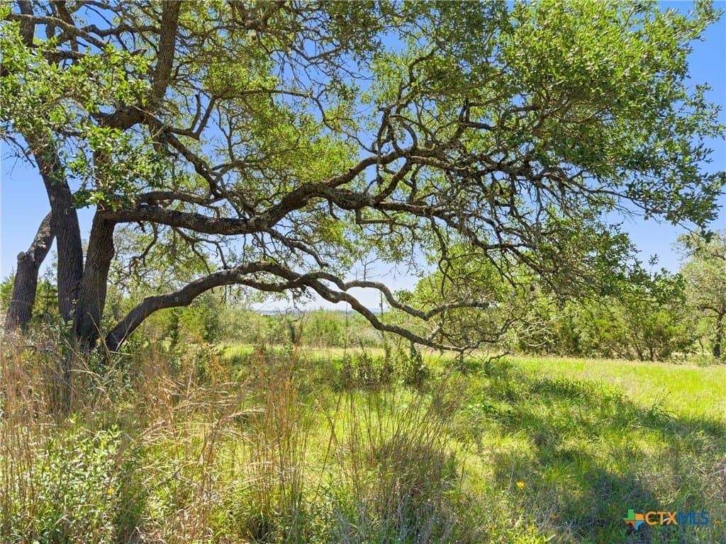 4.75 acres in Comal County - photo 15