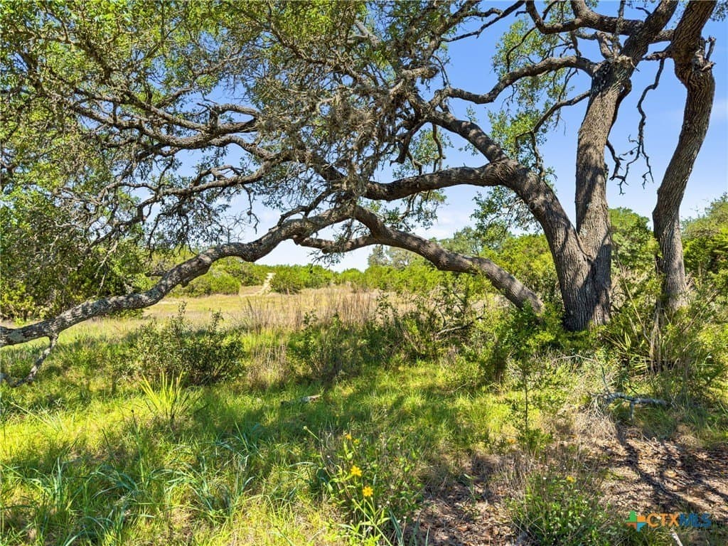 4.75 acres in Comal County - photo 8