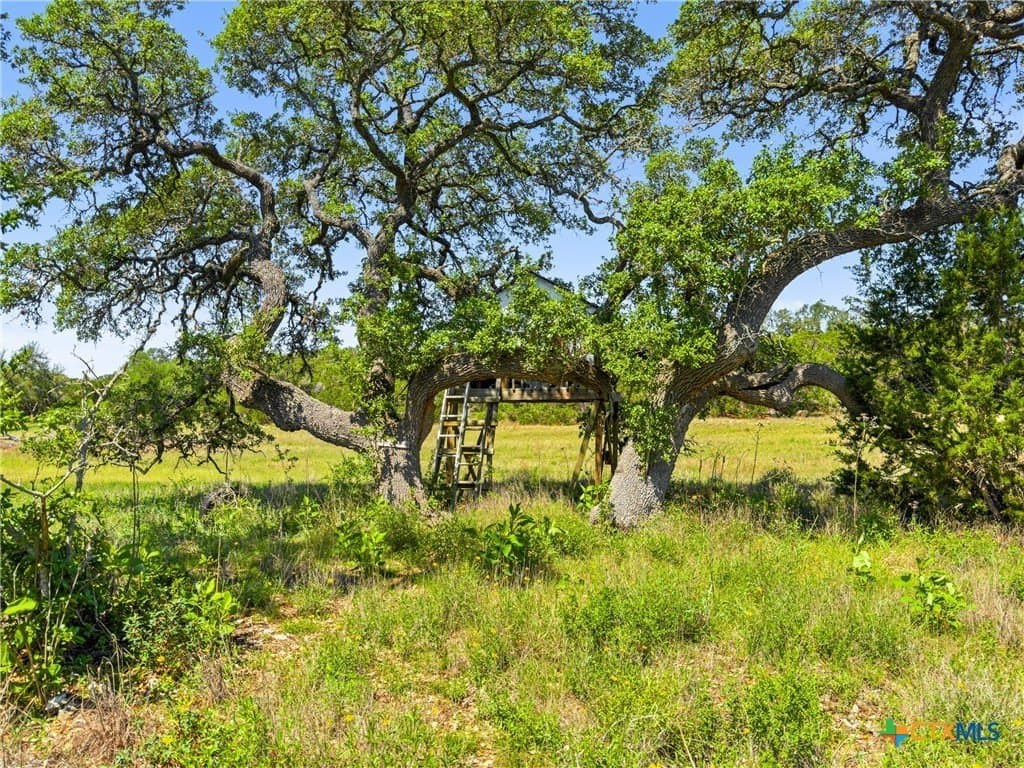 4.75 acres in Comal County