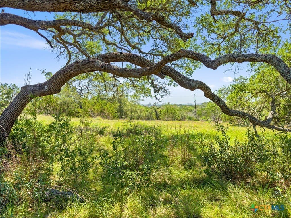 4.75 acres in Comal County gallery image 4