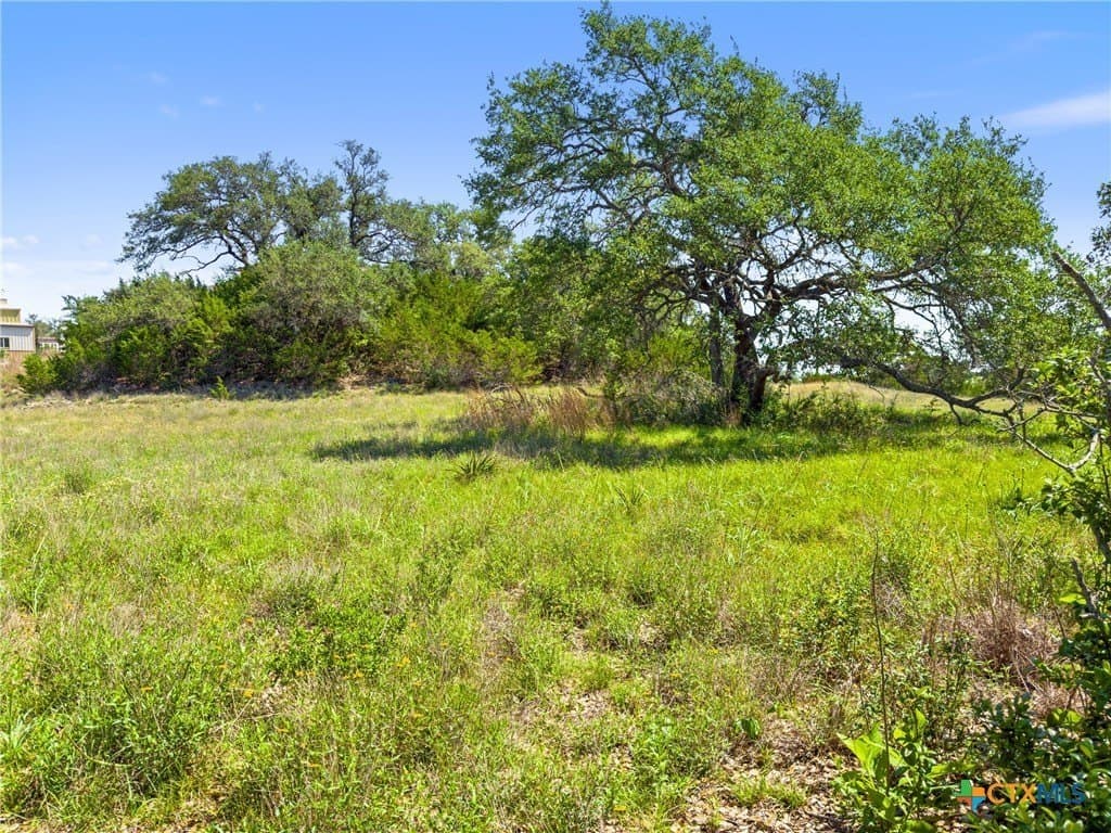 4.75 acres in Comal County gallery image 3