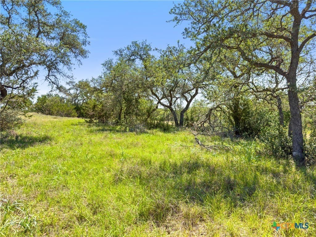 4.75 acres in Comal County - photo 6