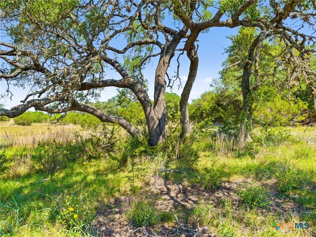 4.75 acres in Comal County - photo 9