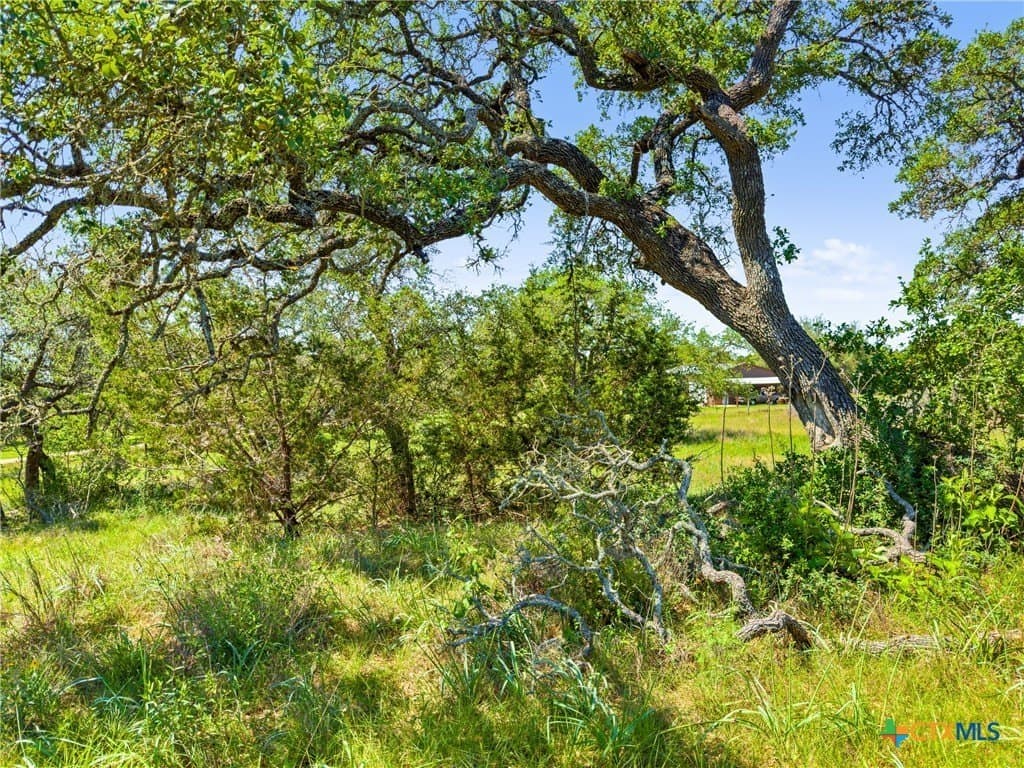 4.75 acres in Comal County - photo 10