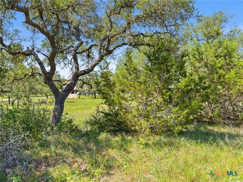 4.75 acres in Comal County - photo 7