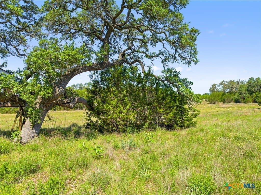4.75 acres in Comal County gallery image 2