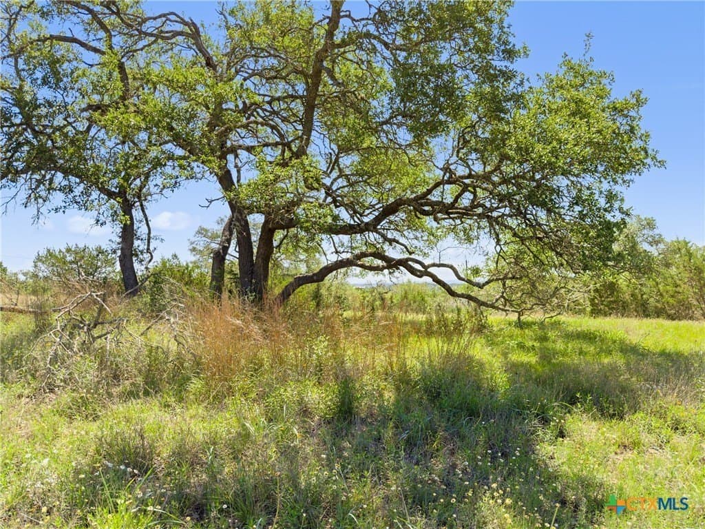 4.75 acres in Comal County - photo 14