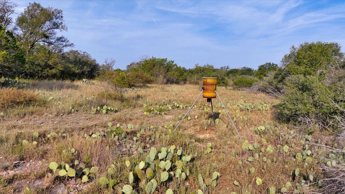 115.8 acres in McCulloch County - photo 13
