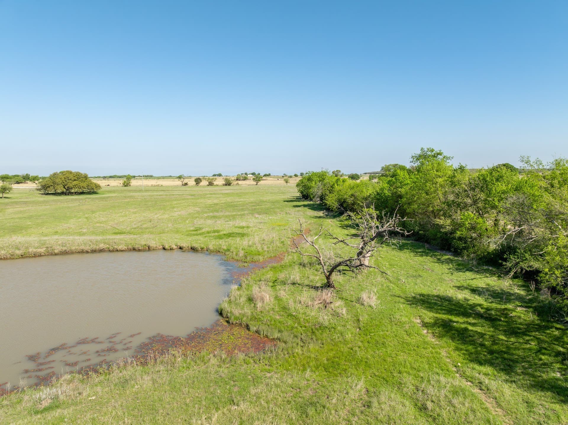 48.72 acres in Hill County - photo 27