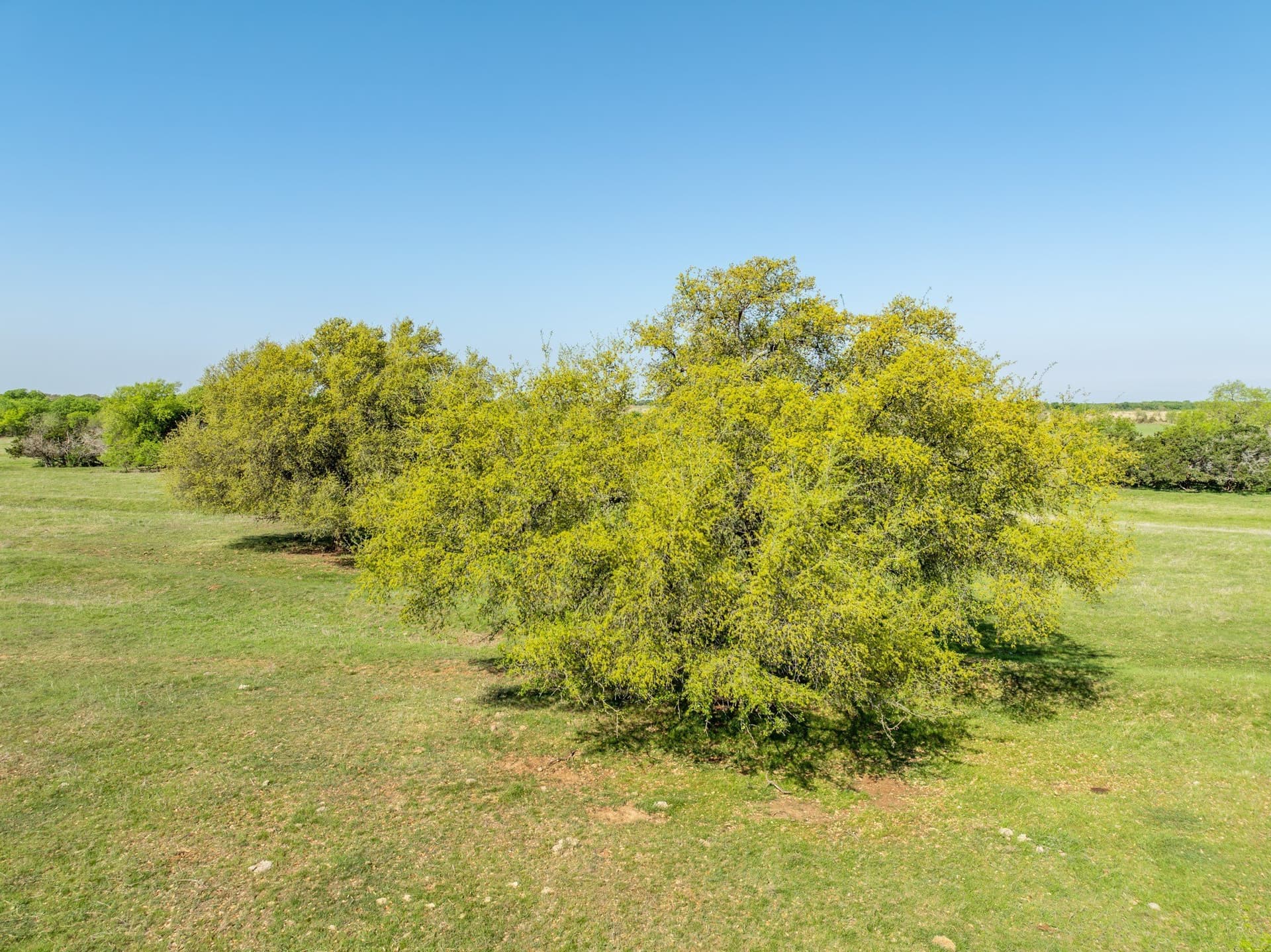 48.72 acres in Hill County - photo 8