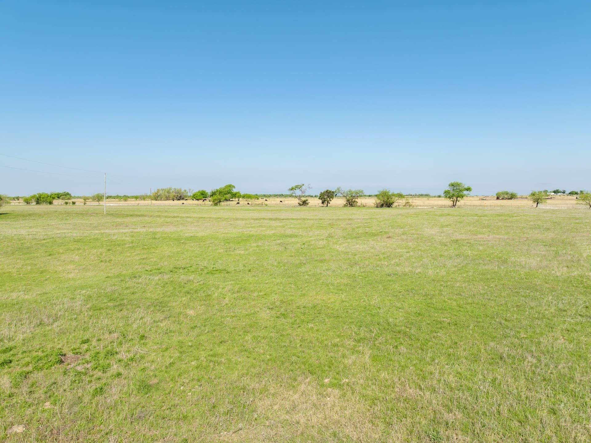 48.72 acres in Hill County - photo 19