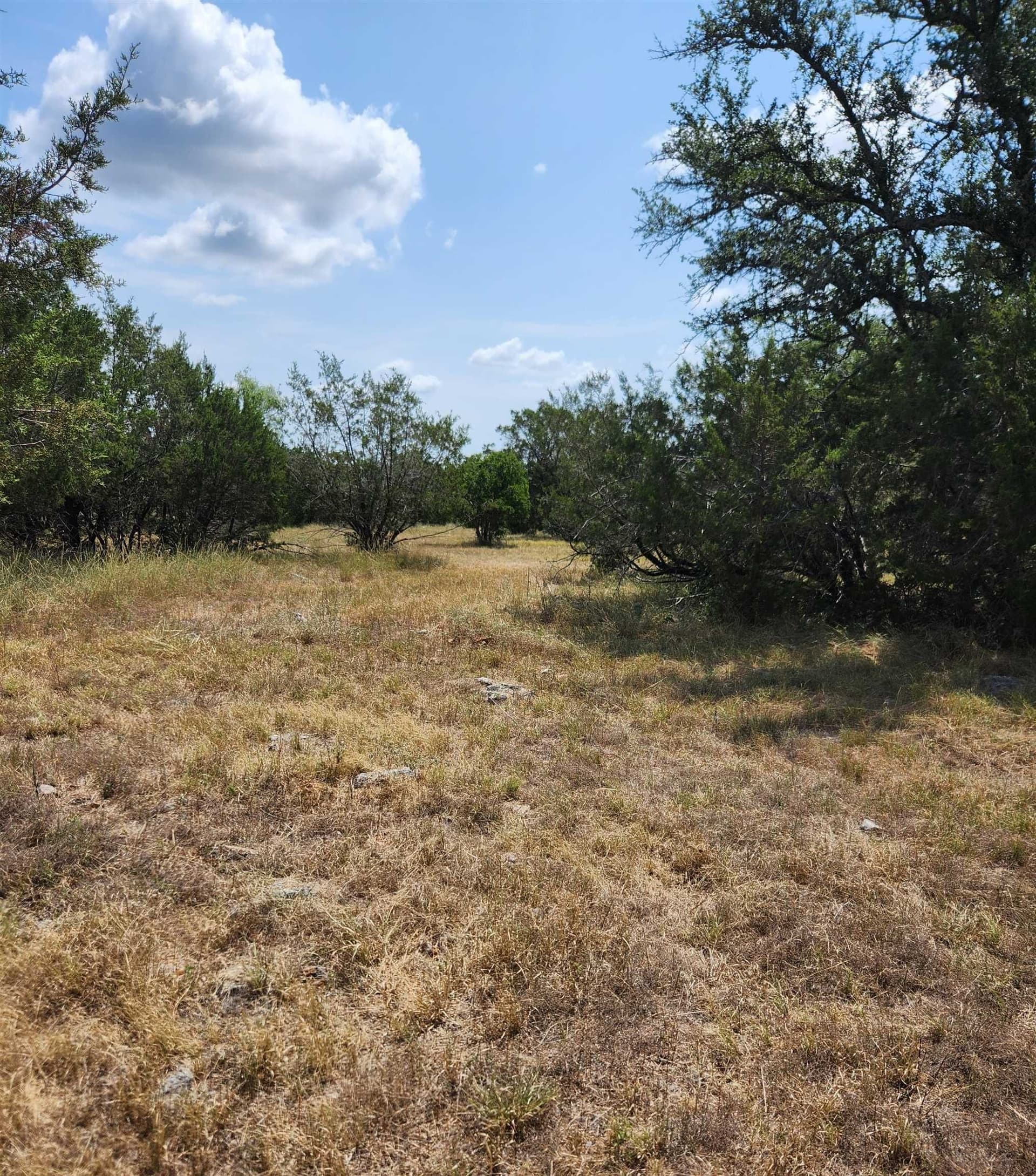 0.21 acres in Llano County gallery image 3