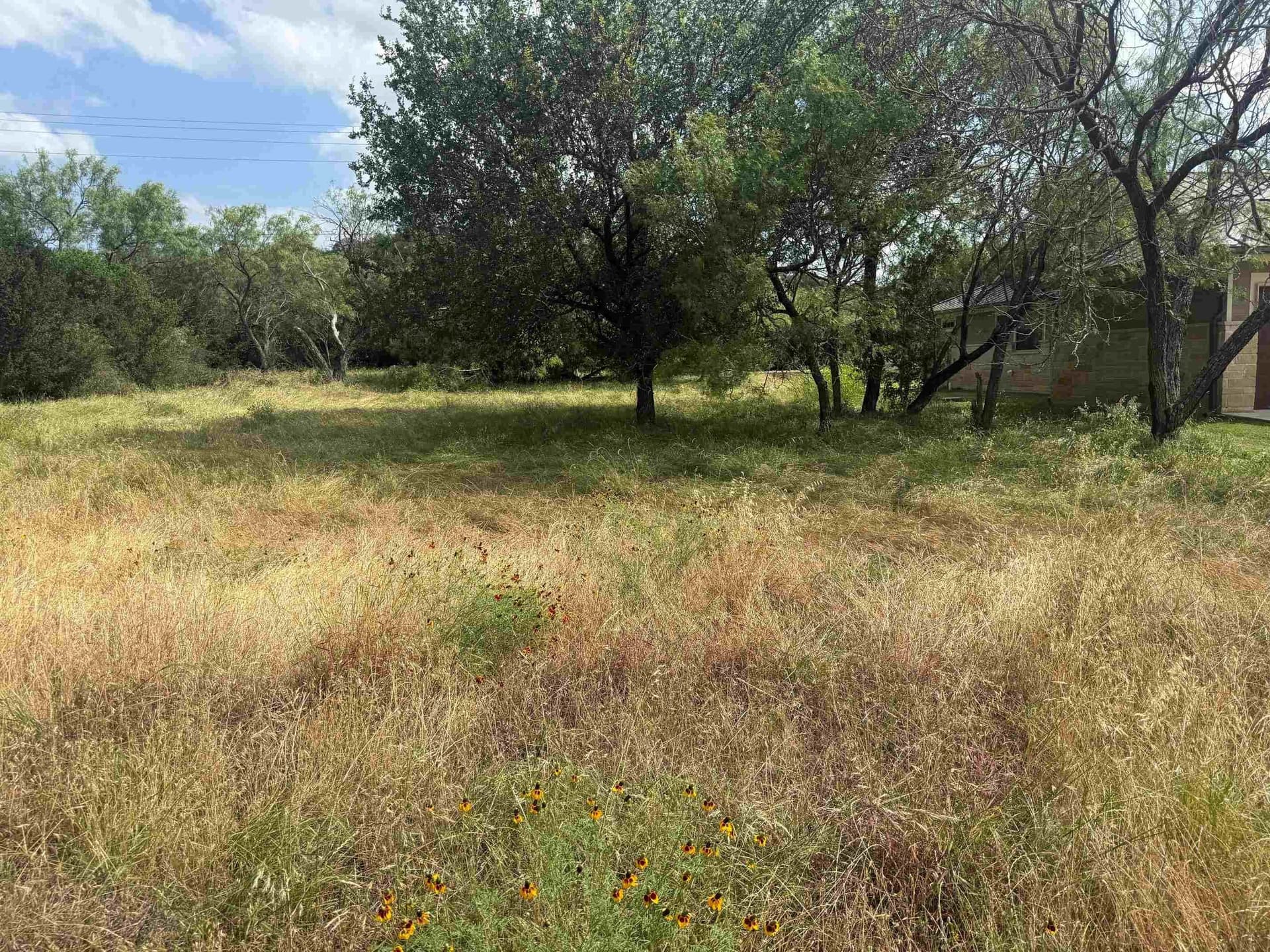 0.24 acres in Llano County gallery image 2
