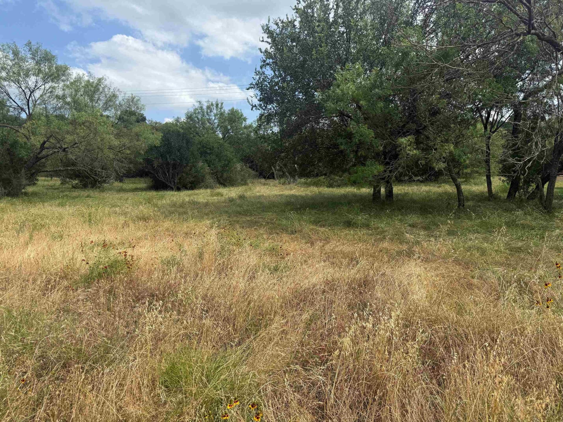 0.24 acres in Llano County gallery image 3