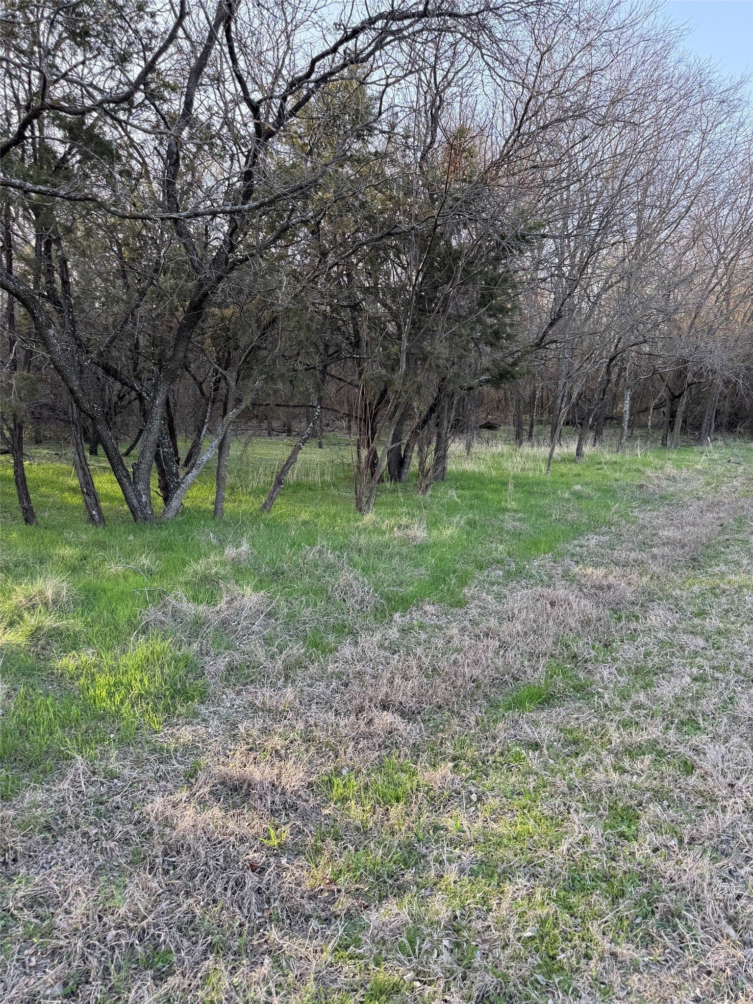0.35 acres in Hill County - photo 9