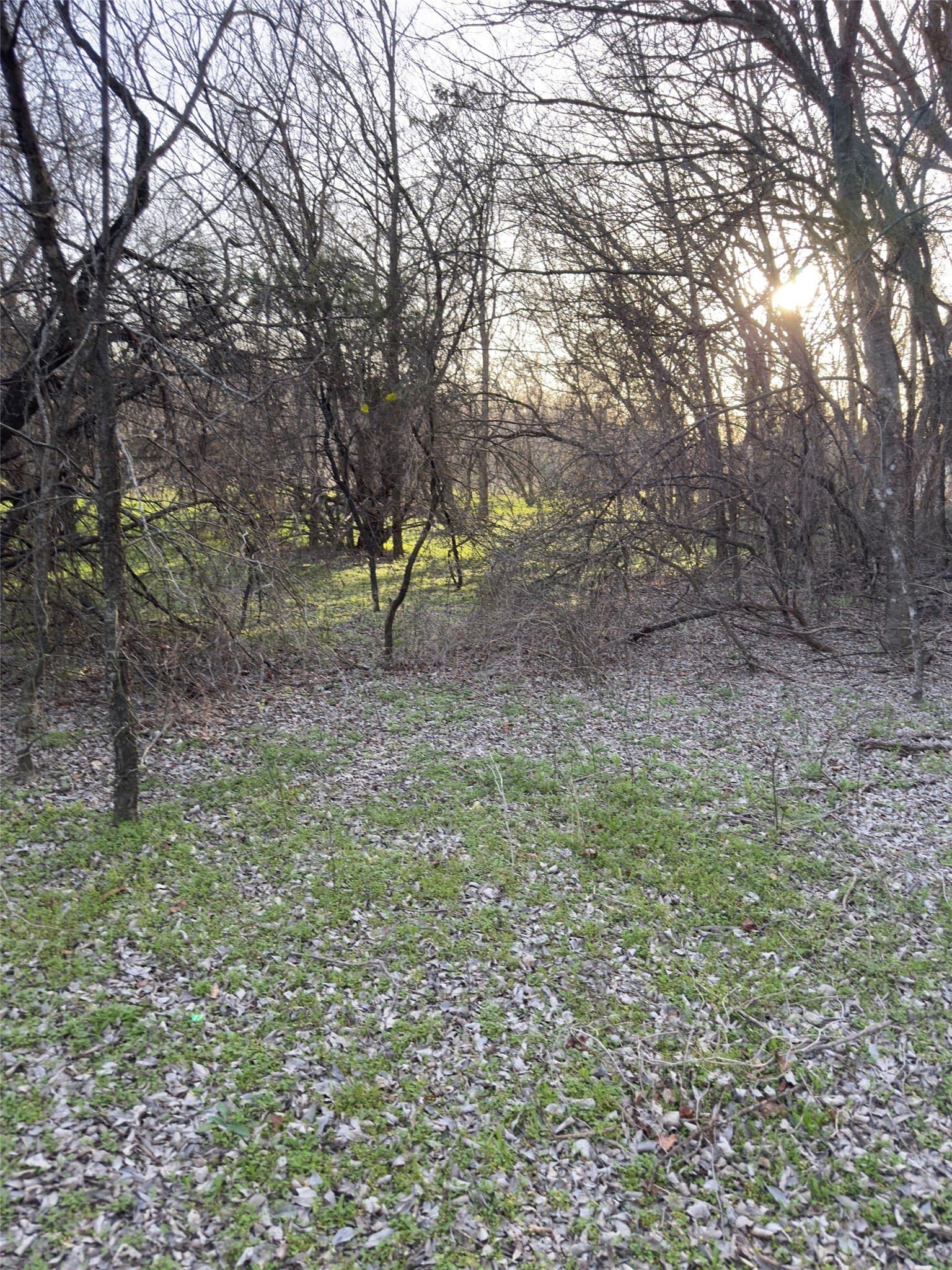 0.35 acres in Hill County - photo 13
