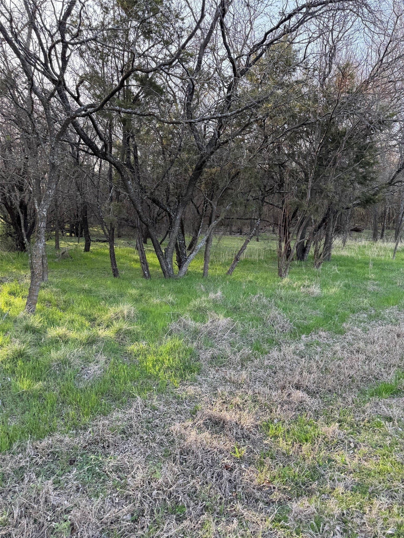 0.35 acres in Hill County - photo 8