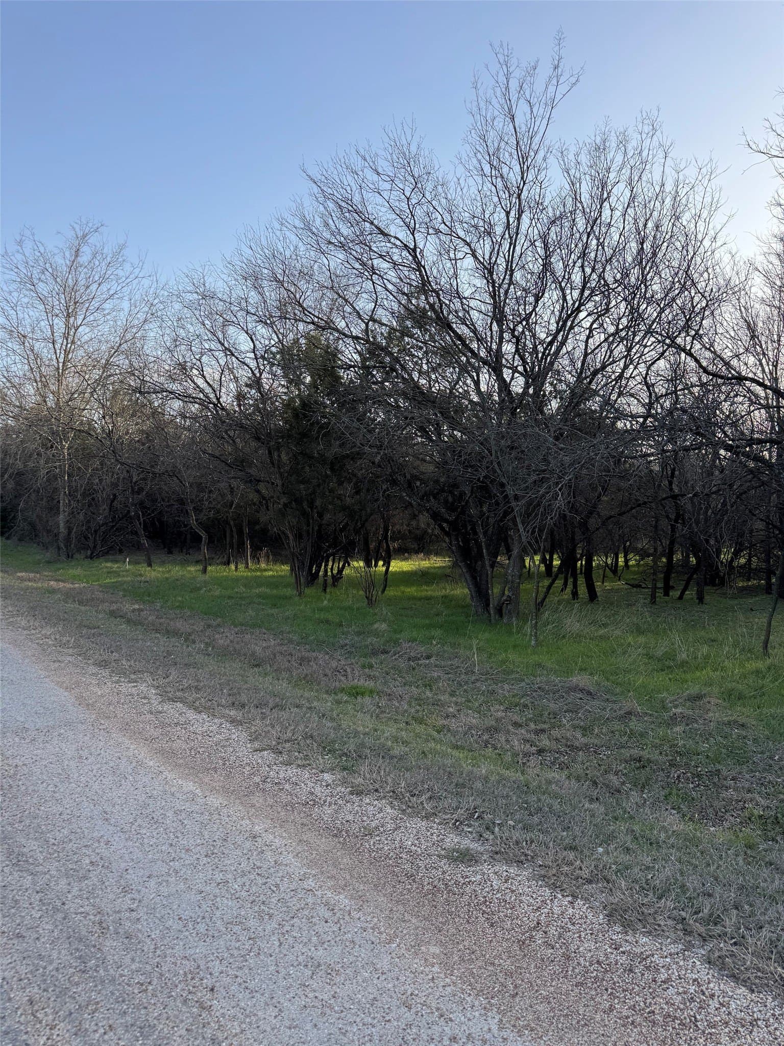 0.35 acres in Hill County gallery image 4