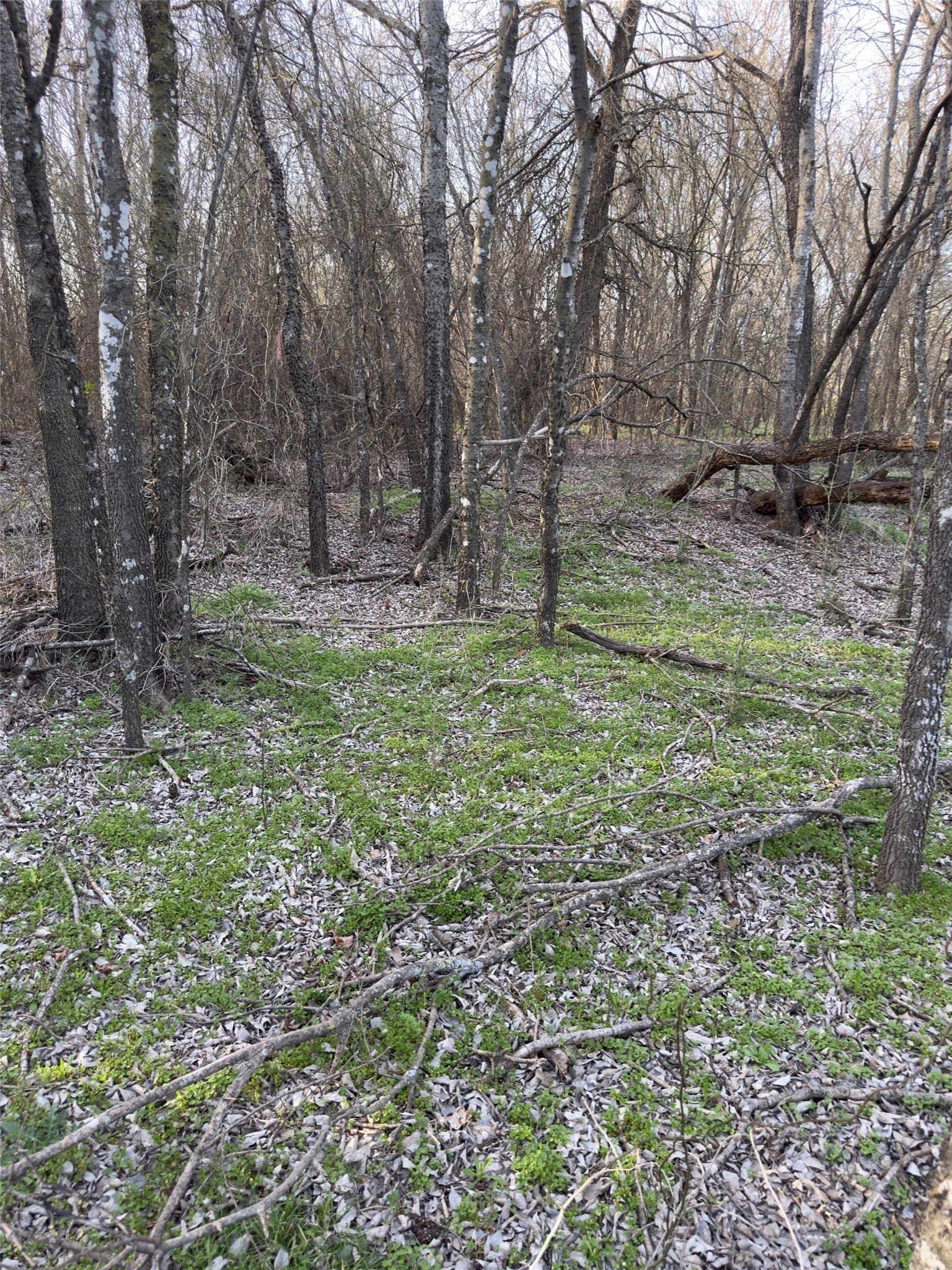 0.35 acres in Hill County - photo 15