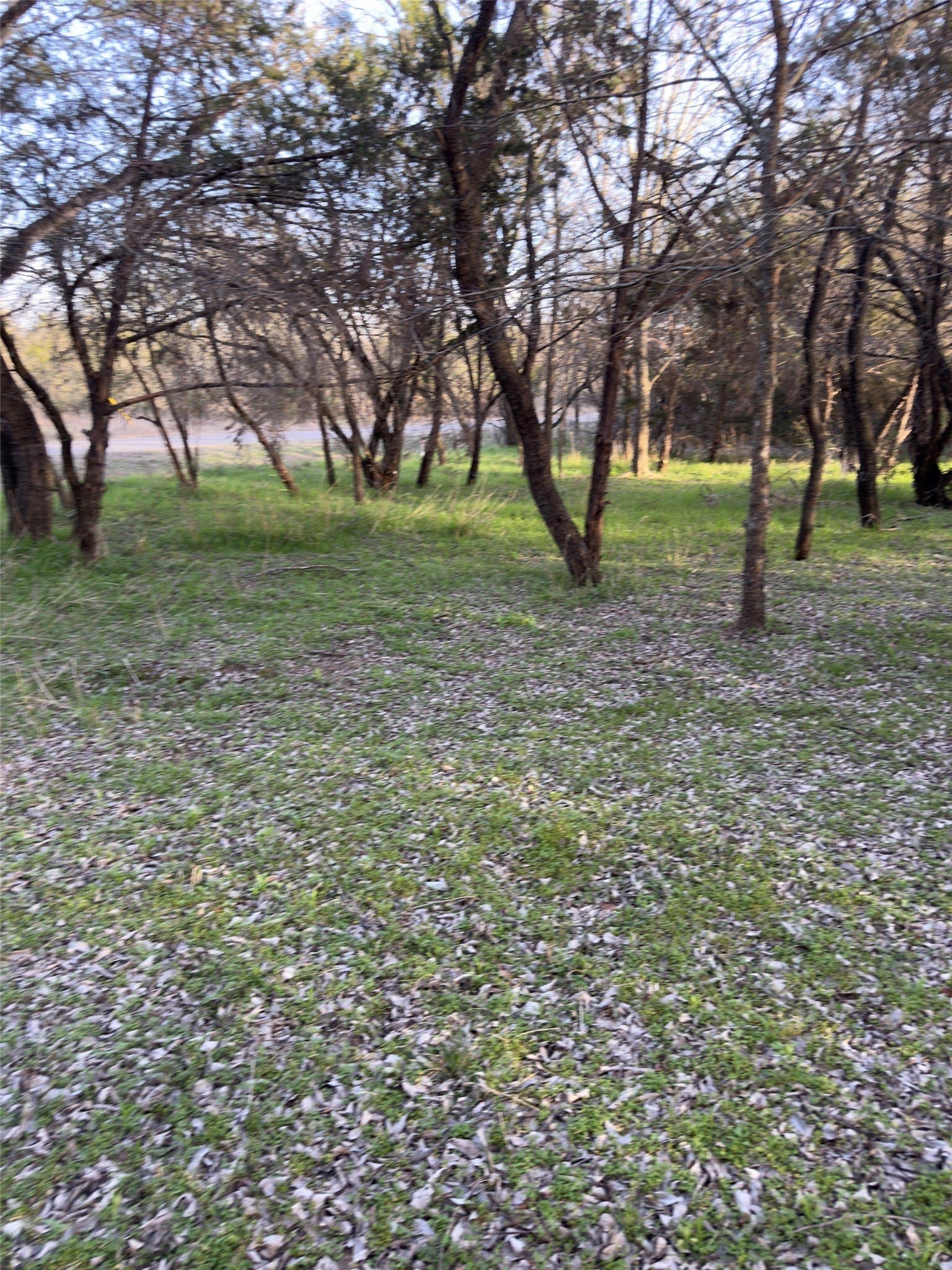 0.35 acres in Hill County - photo 10