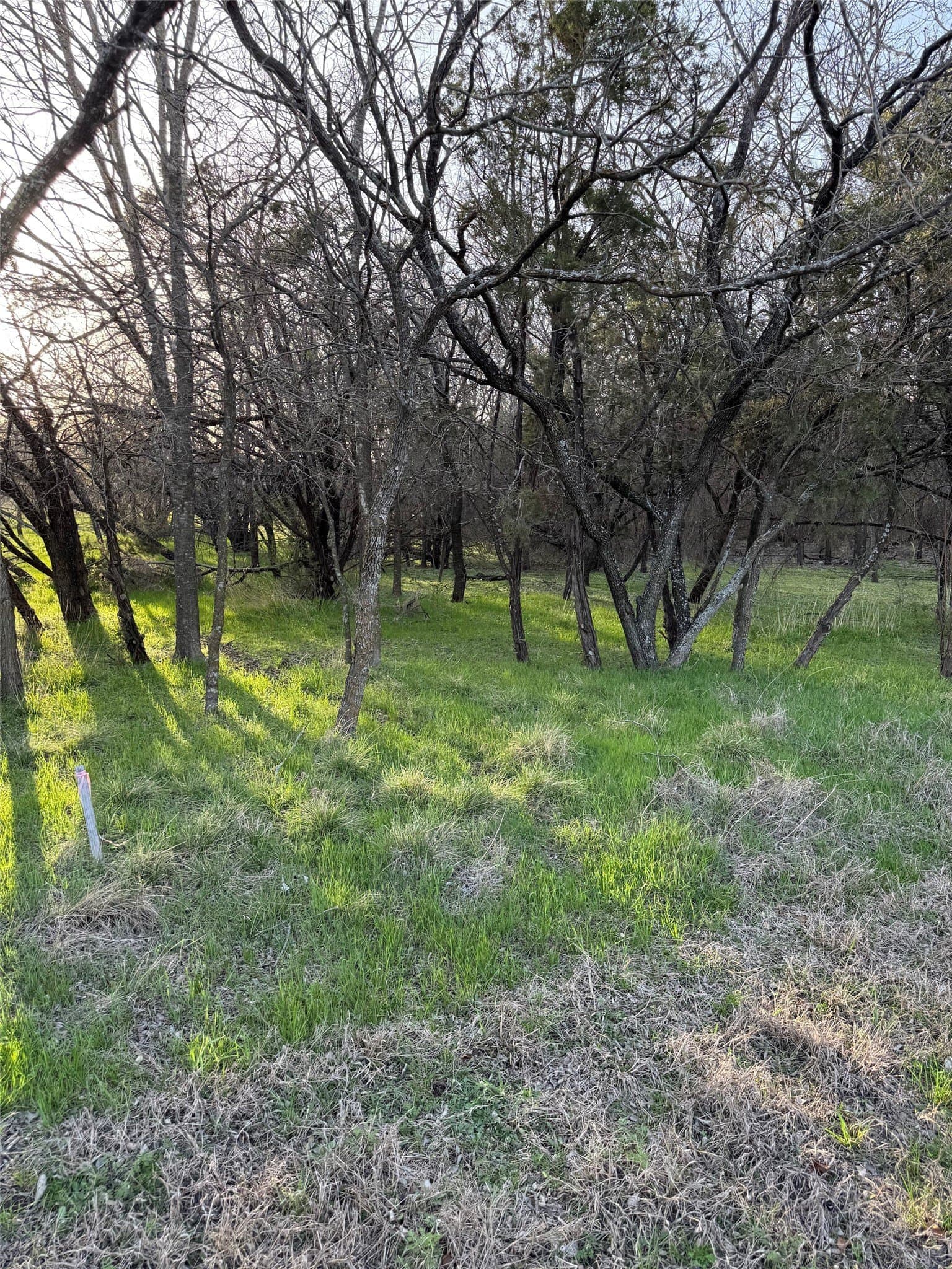 0.35 acres in Hill County - photo 7