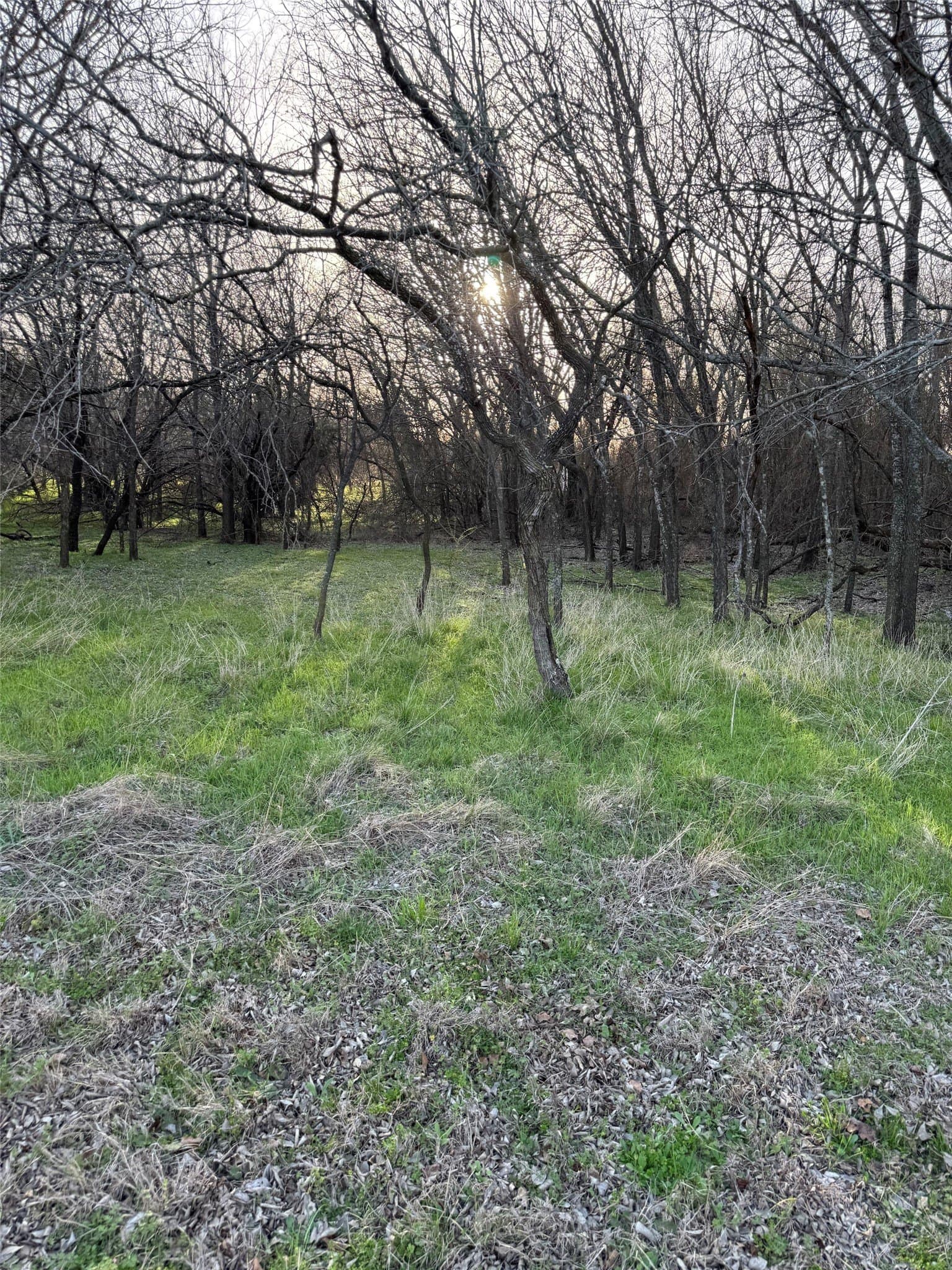 0.35 acres in Hill County - photo 6