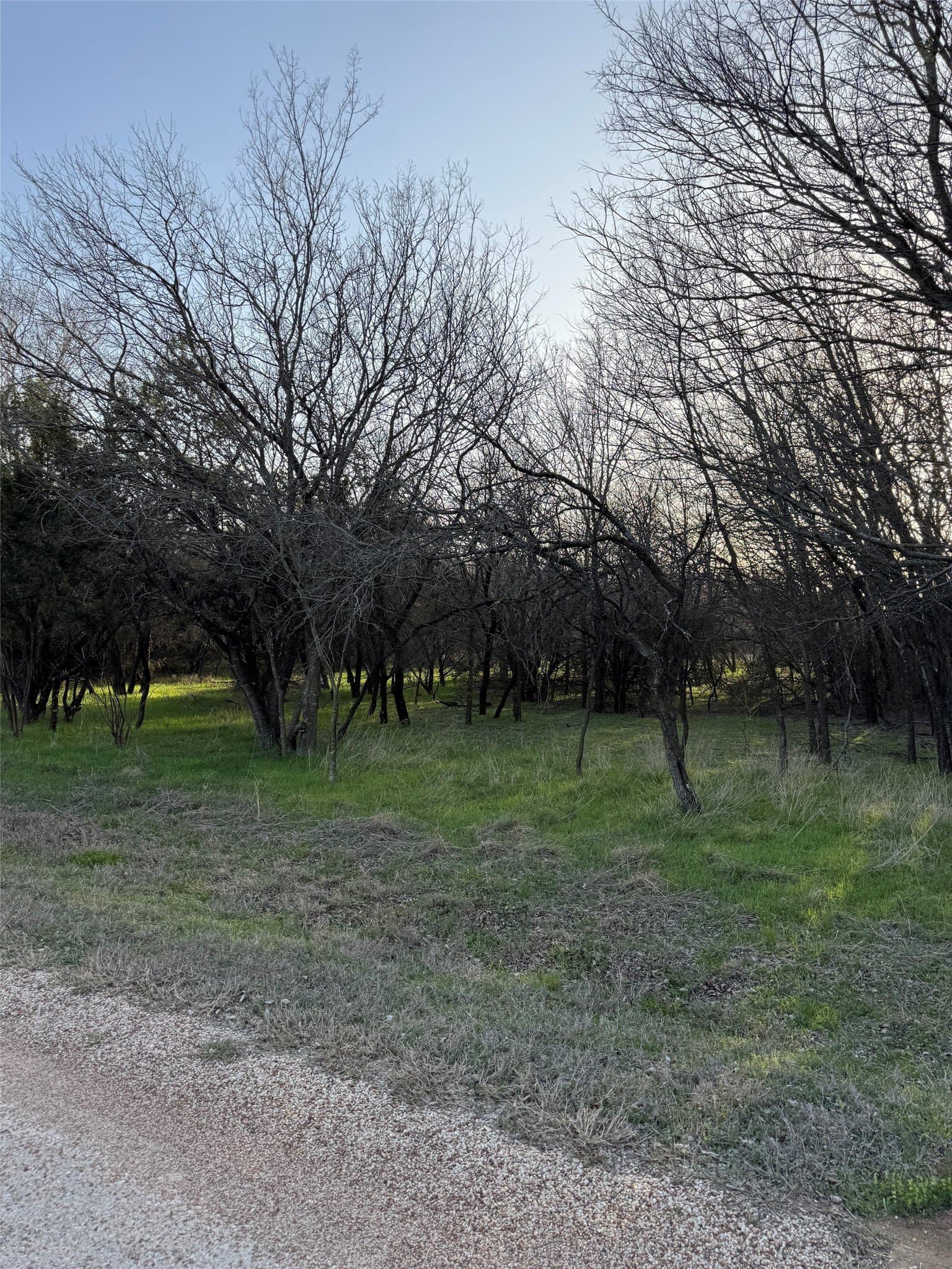 0.35 acres in Hill County gallery image 3