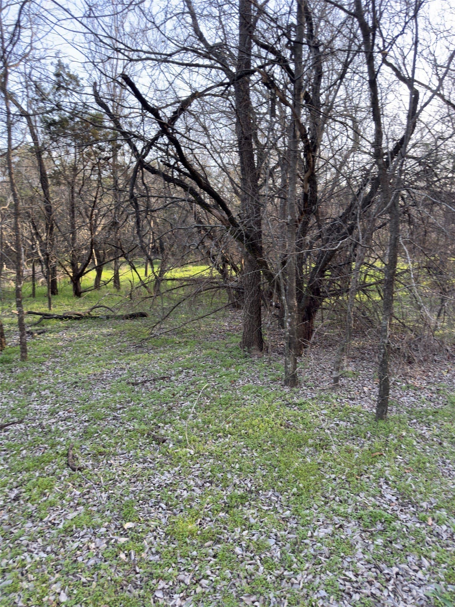 0.35 acres in Hill County - photo 12