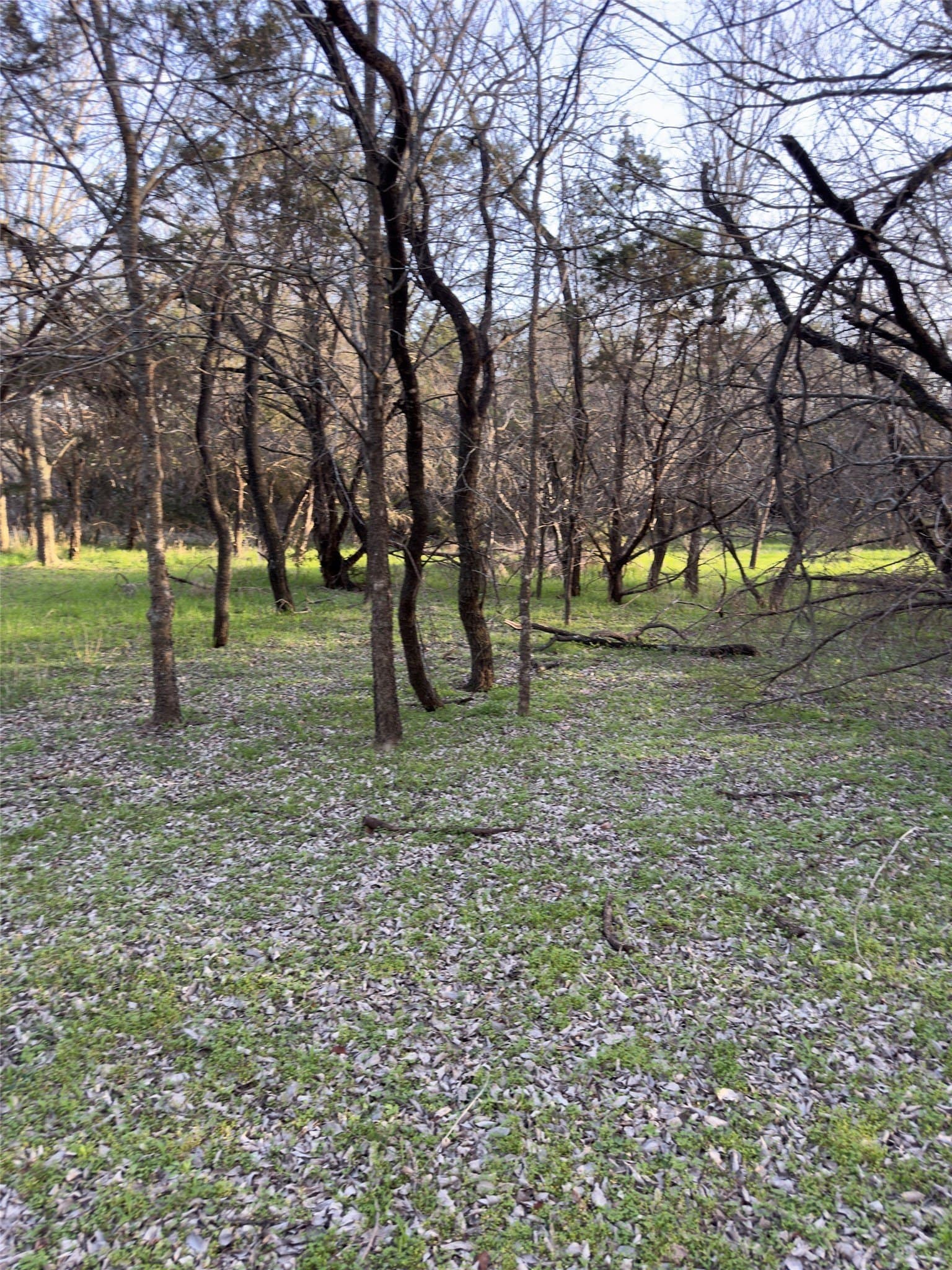 0.35 acres in Hill County - photo 11