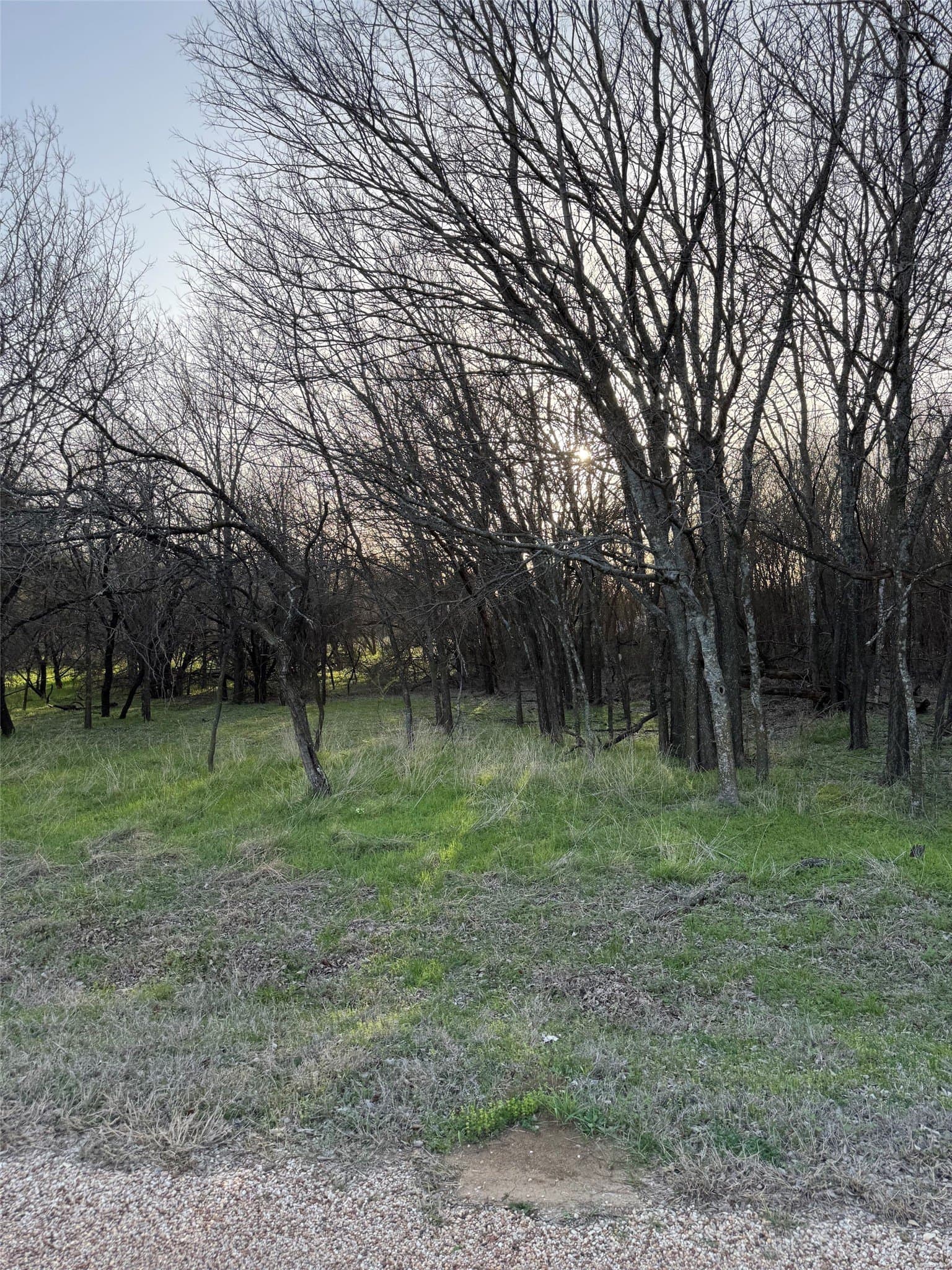 0.35 acres in Hill County gallery image 2