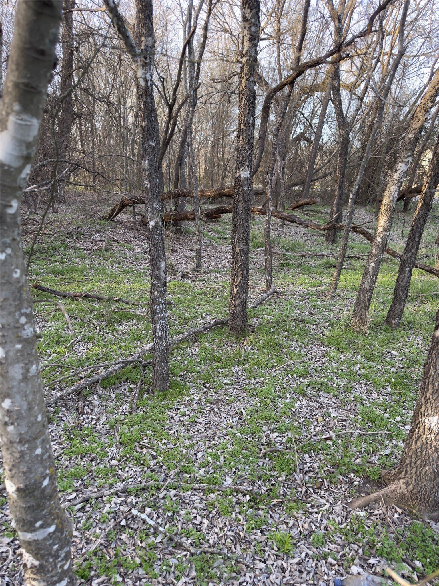 0.35 acres in Hill County - photo 14