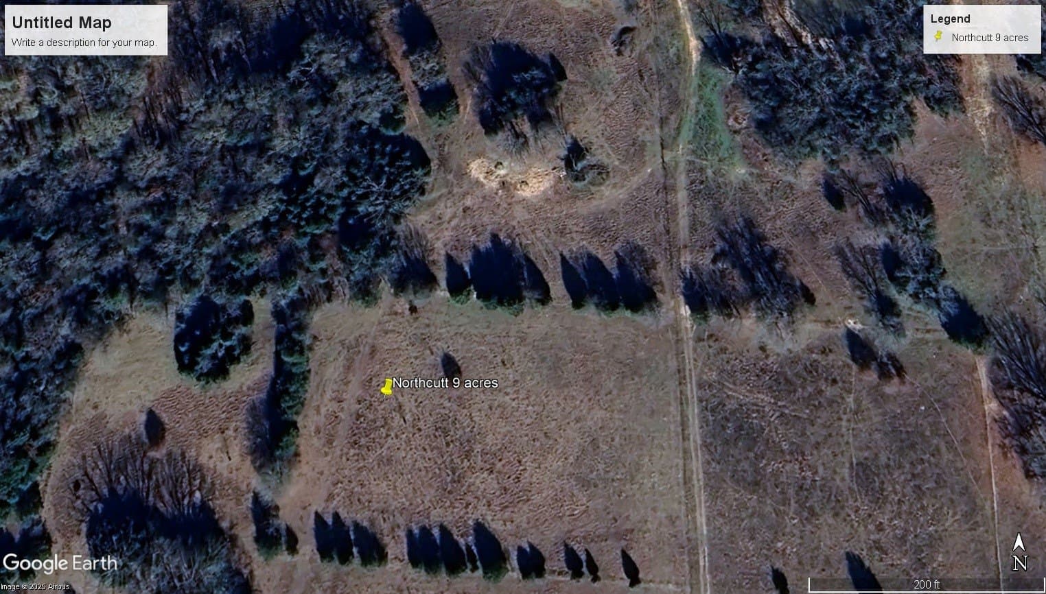9 acres in Rains County gallery image 3