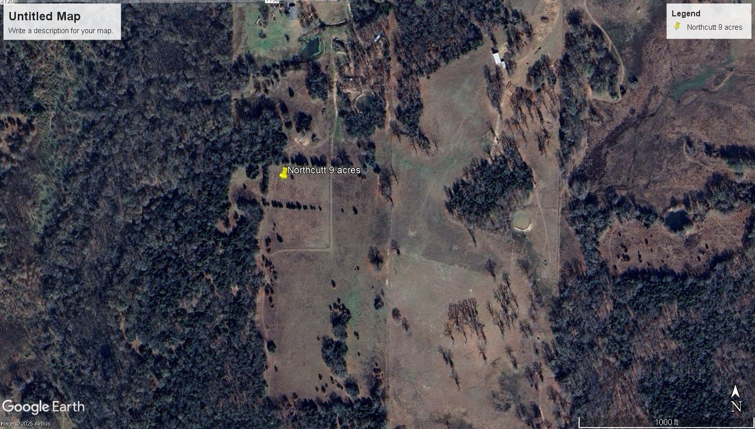 9 acres in Rains County gallery image 4