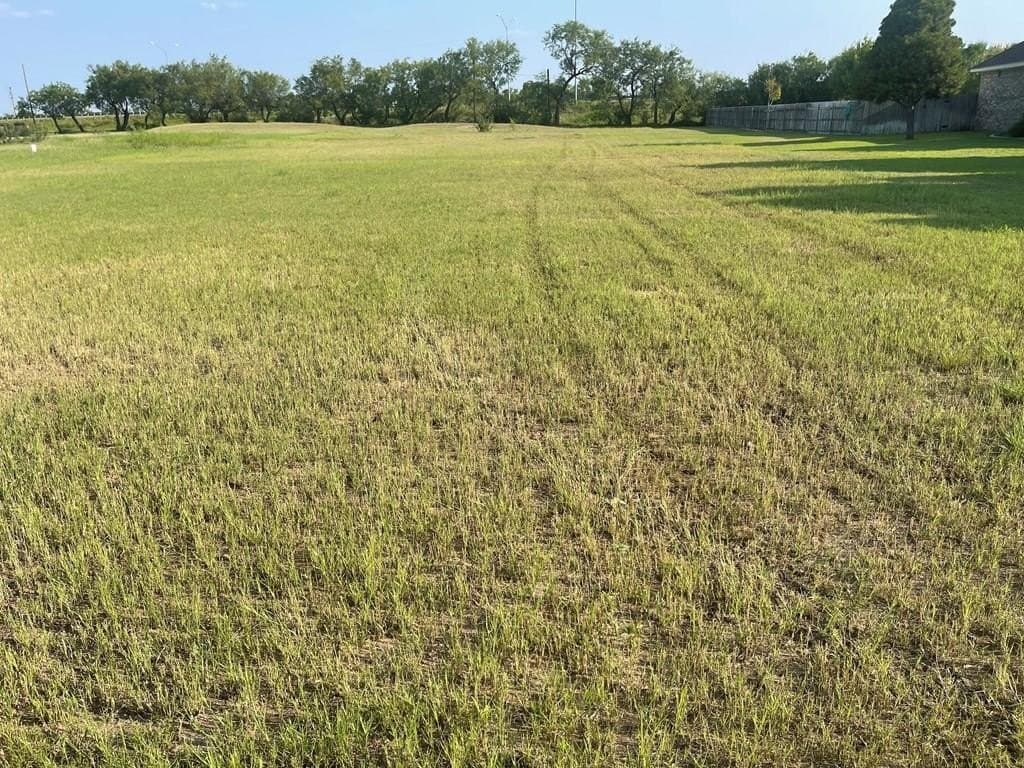 0.88 acres in Tom Green County gallery image 3