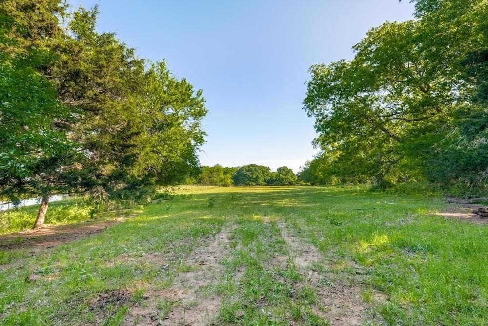 61.89 acres in Grayson County - photo 8