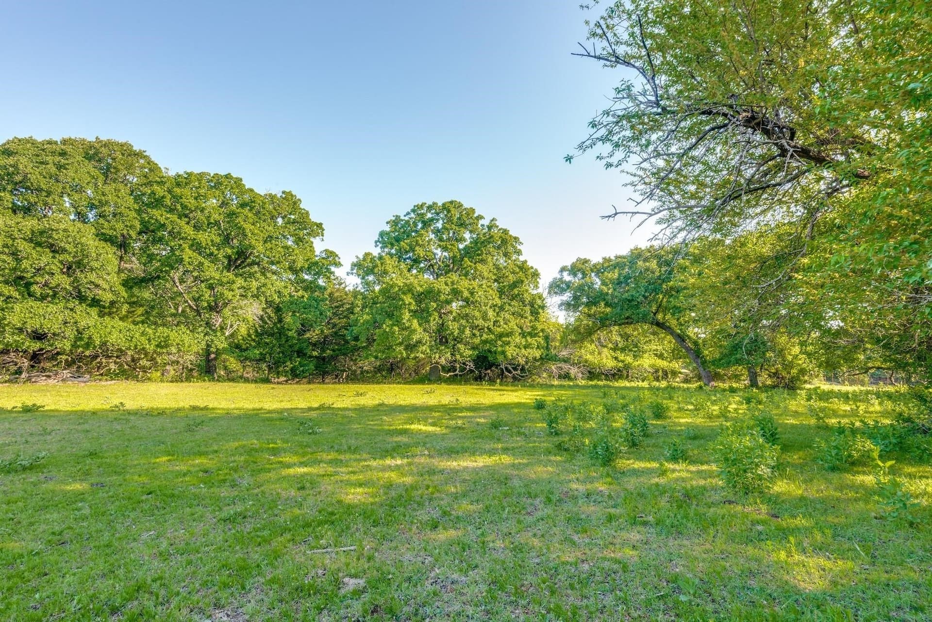 61.89 acres in Grayson County gallery image 3
