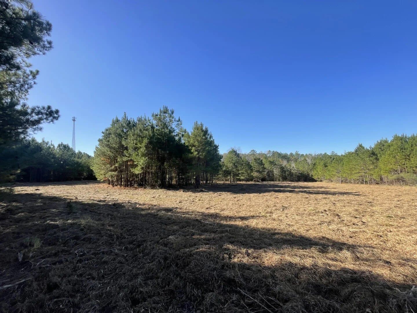 6.64 acres in Polk County - photo 21