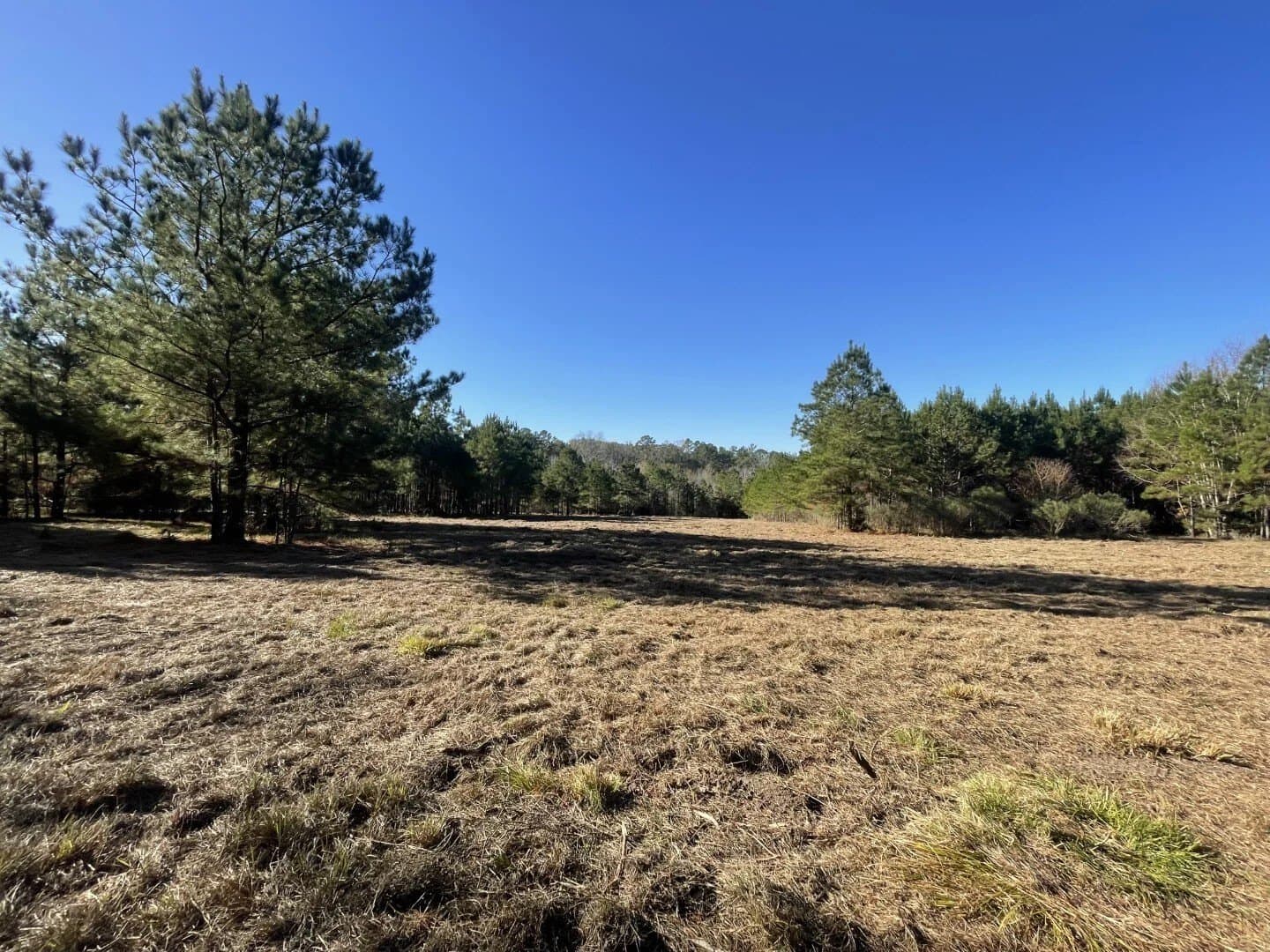 6.64 acres in Polk County - photo 18
