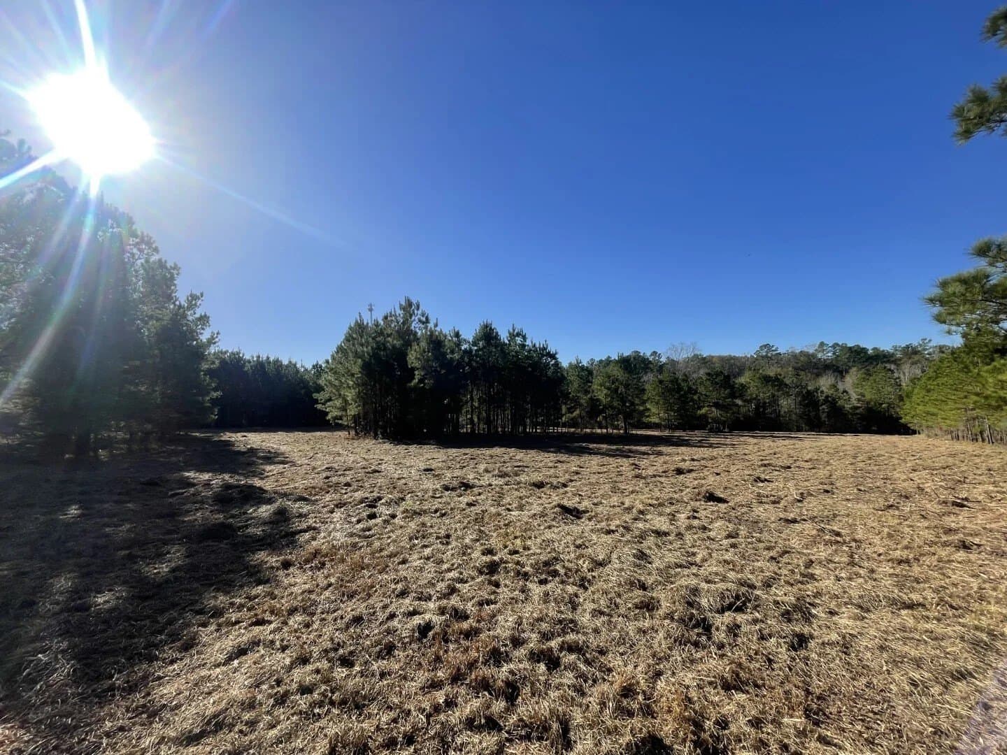 6.64 acres in Polk County - photo 17