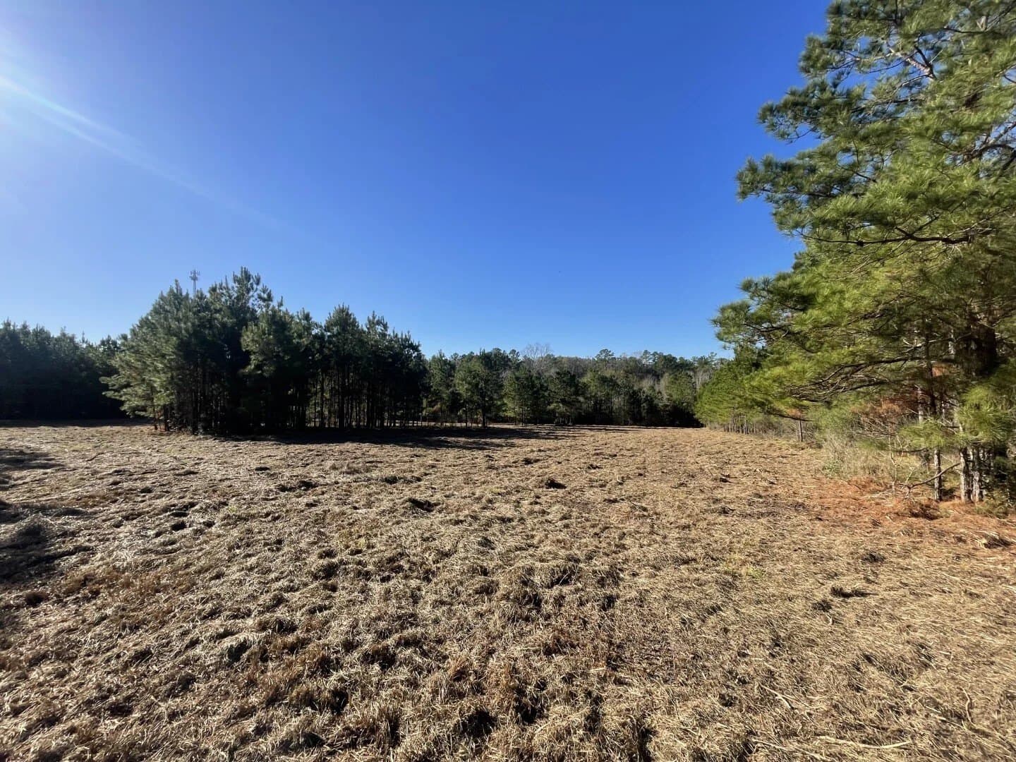 6.64 acres in Polk County - photo 19