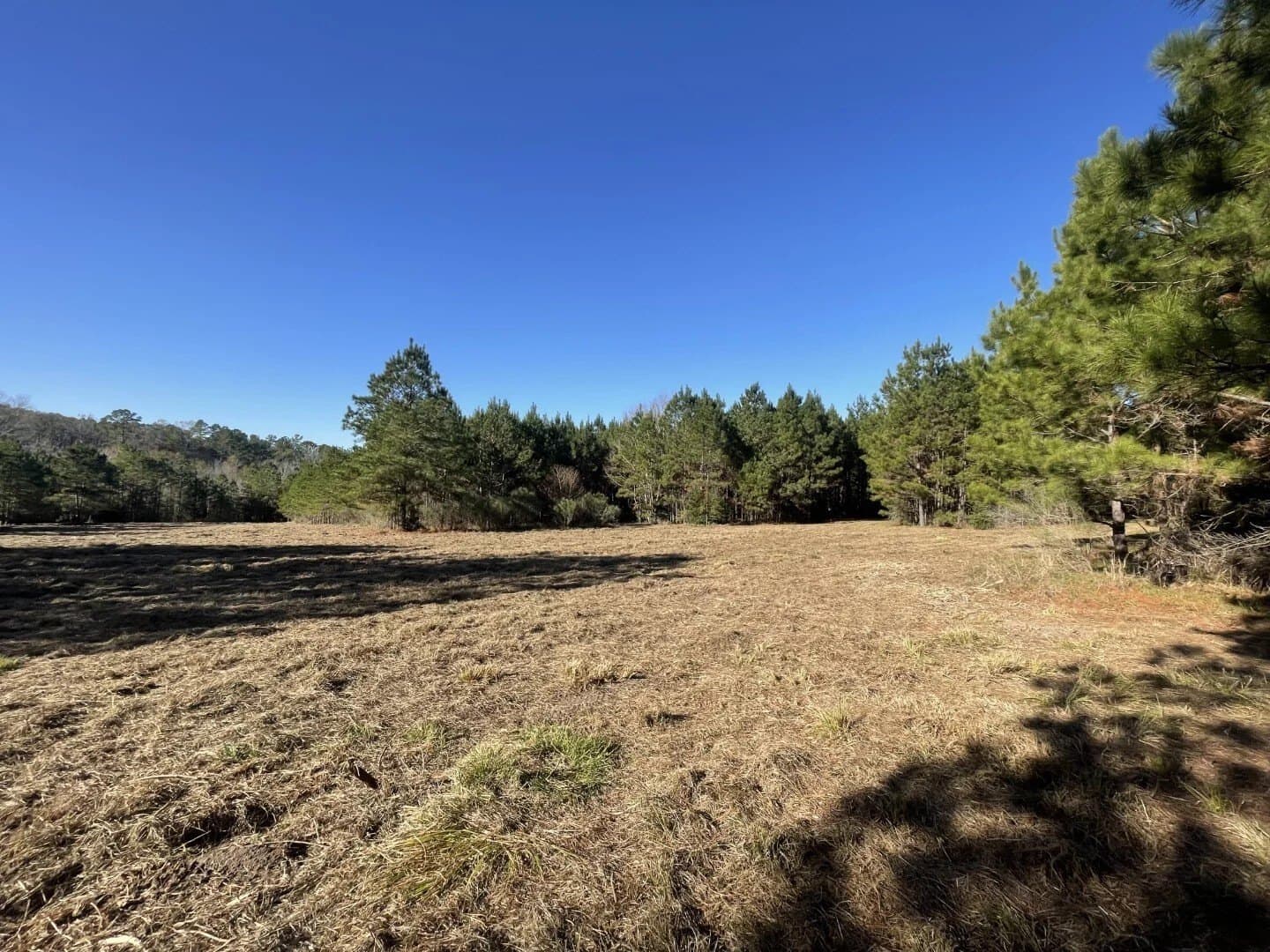 6.64 acres in Polk County - photo 20