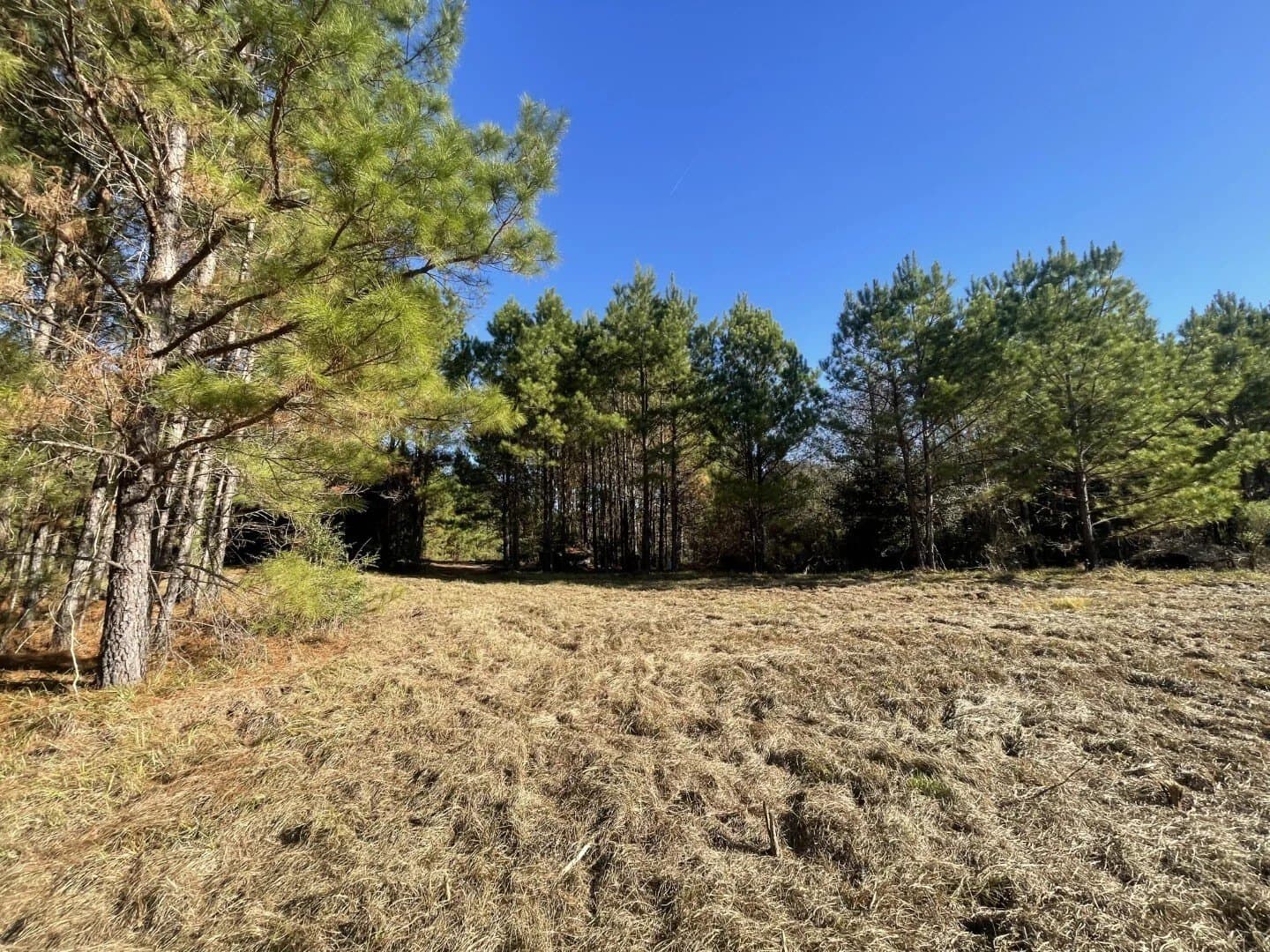 6.64 acres in Polk County - photo 22