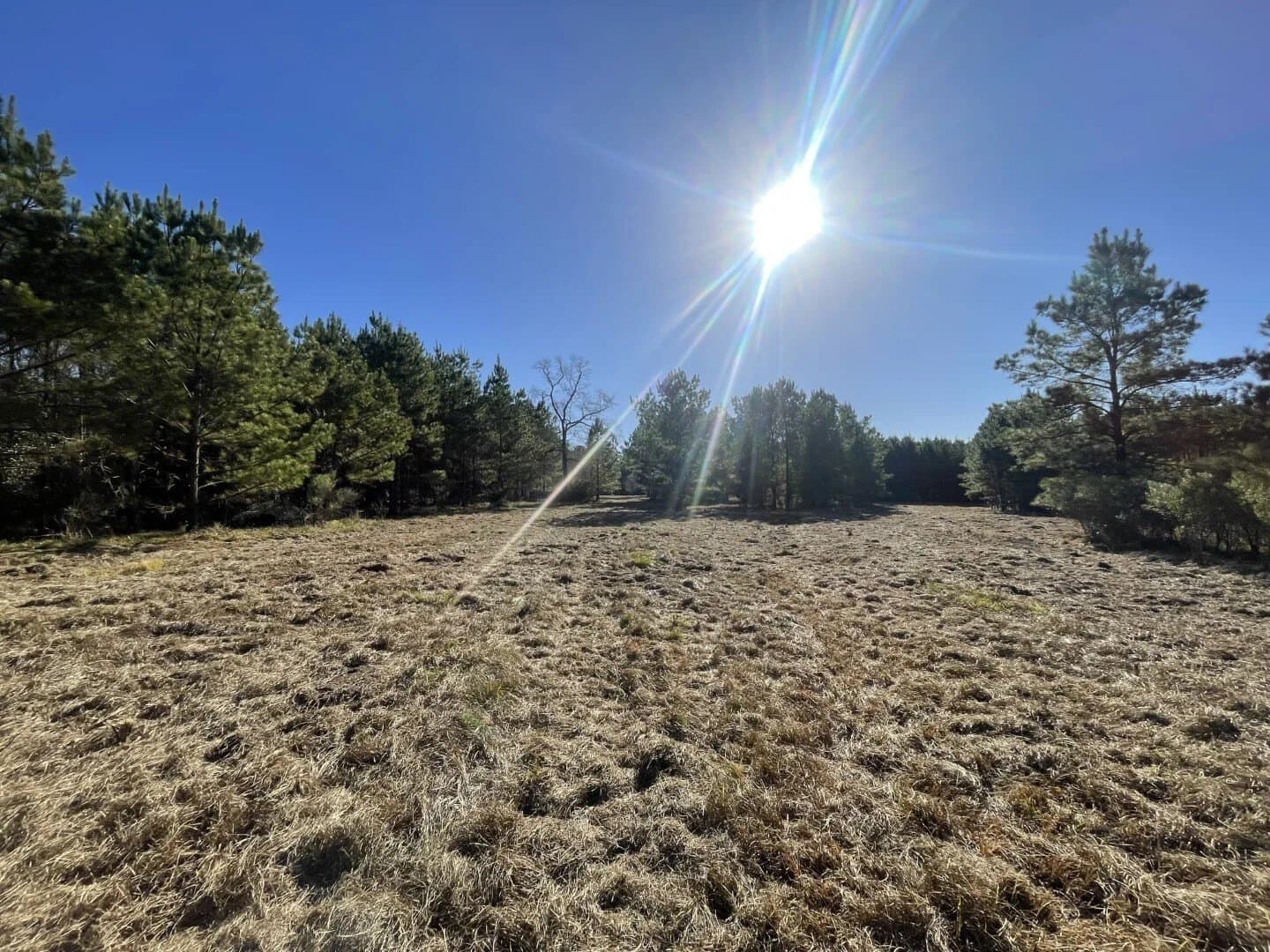 6.64 acres in Polk County - photo 16