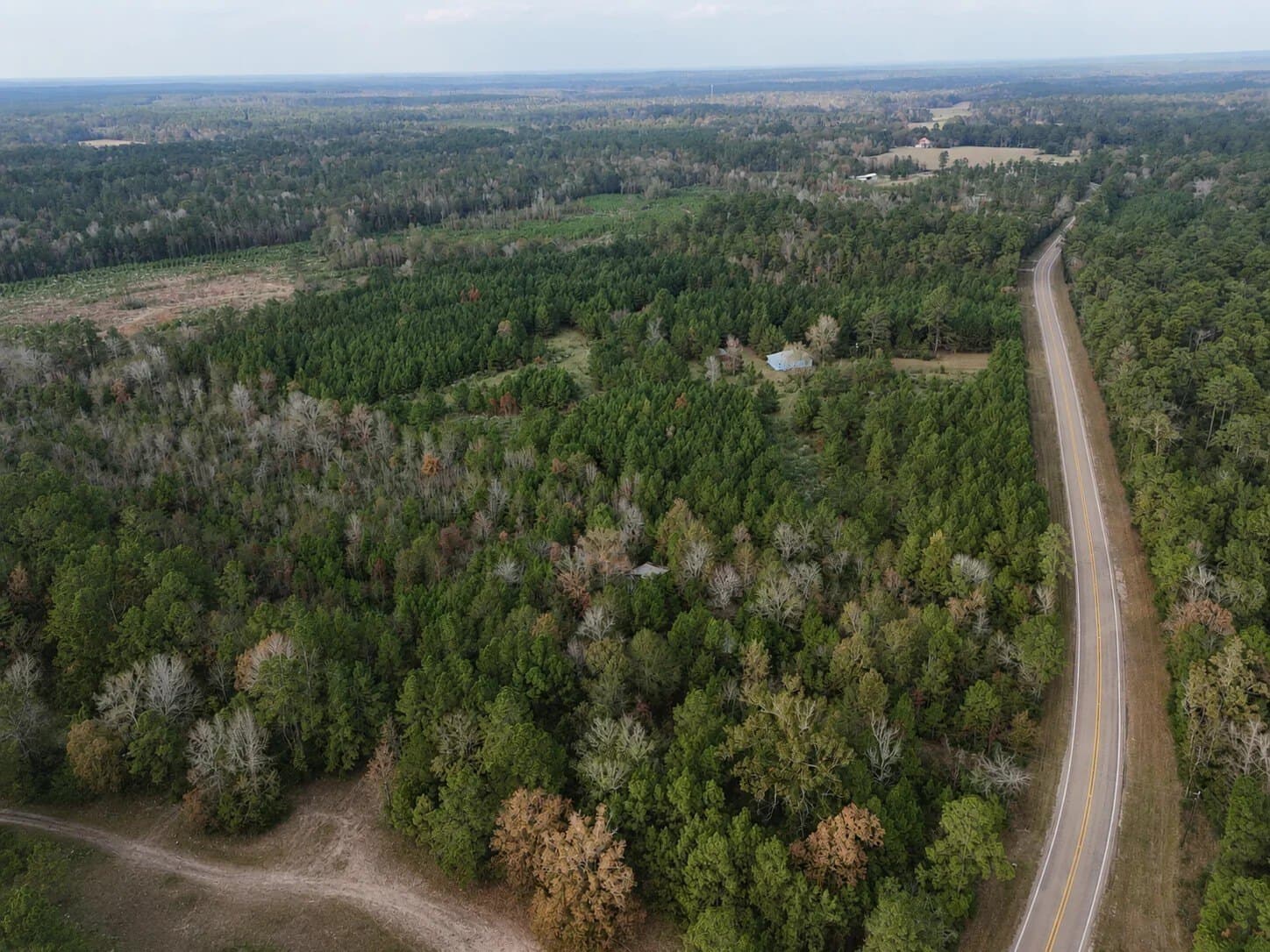 6.64 acres in Polk County - photo 27