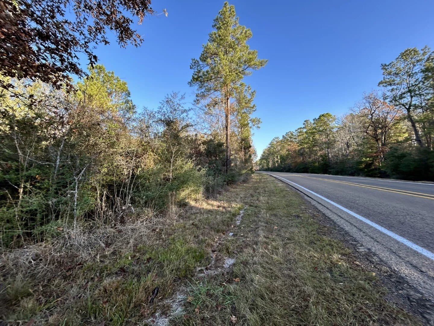 6.64 acres in Polk County - photo 11