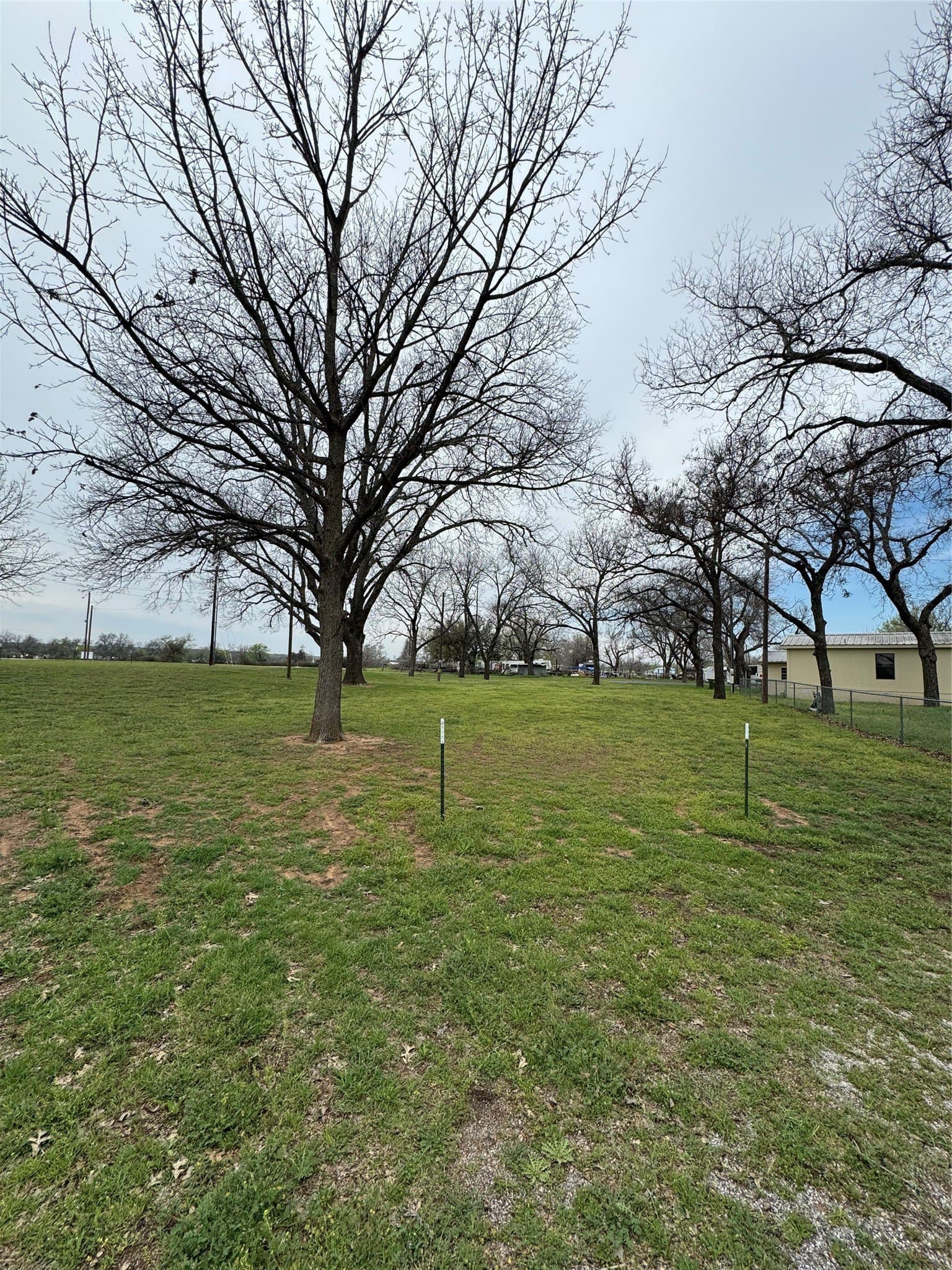 0.59 acres in Parker County gallery image 4